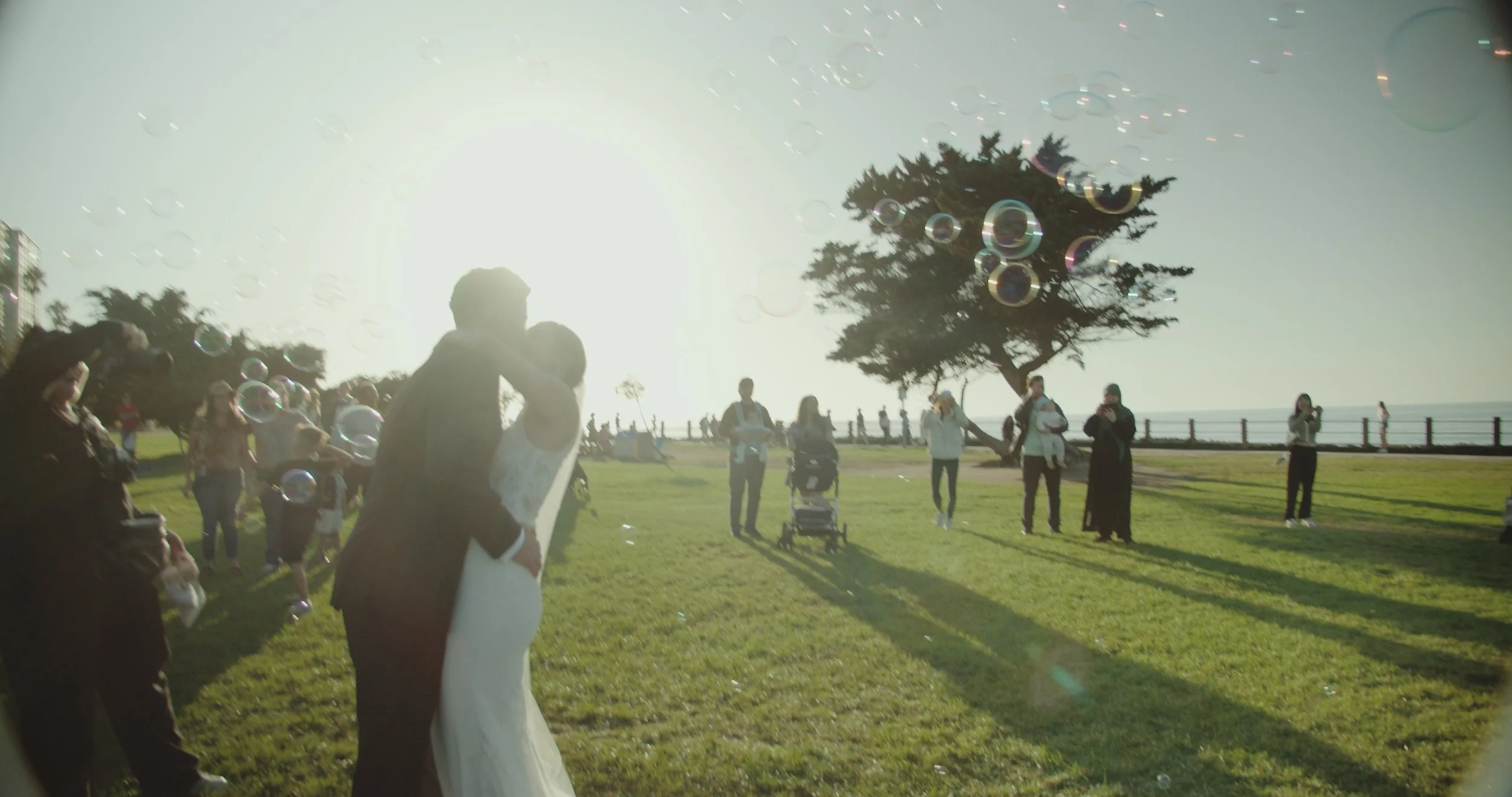 Still 2026-01-17 121001_1.57.1.jpg