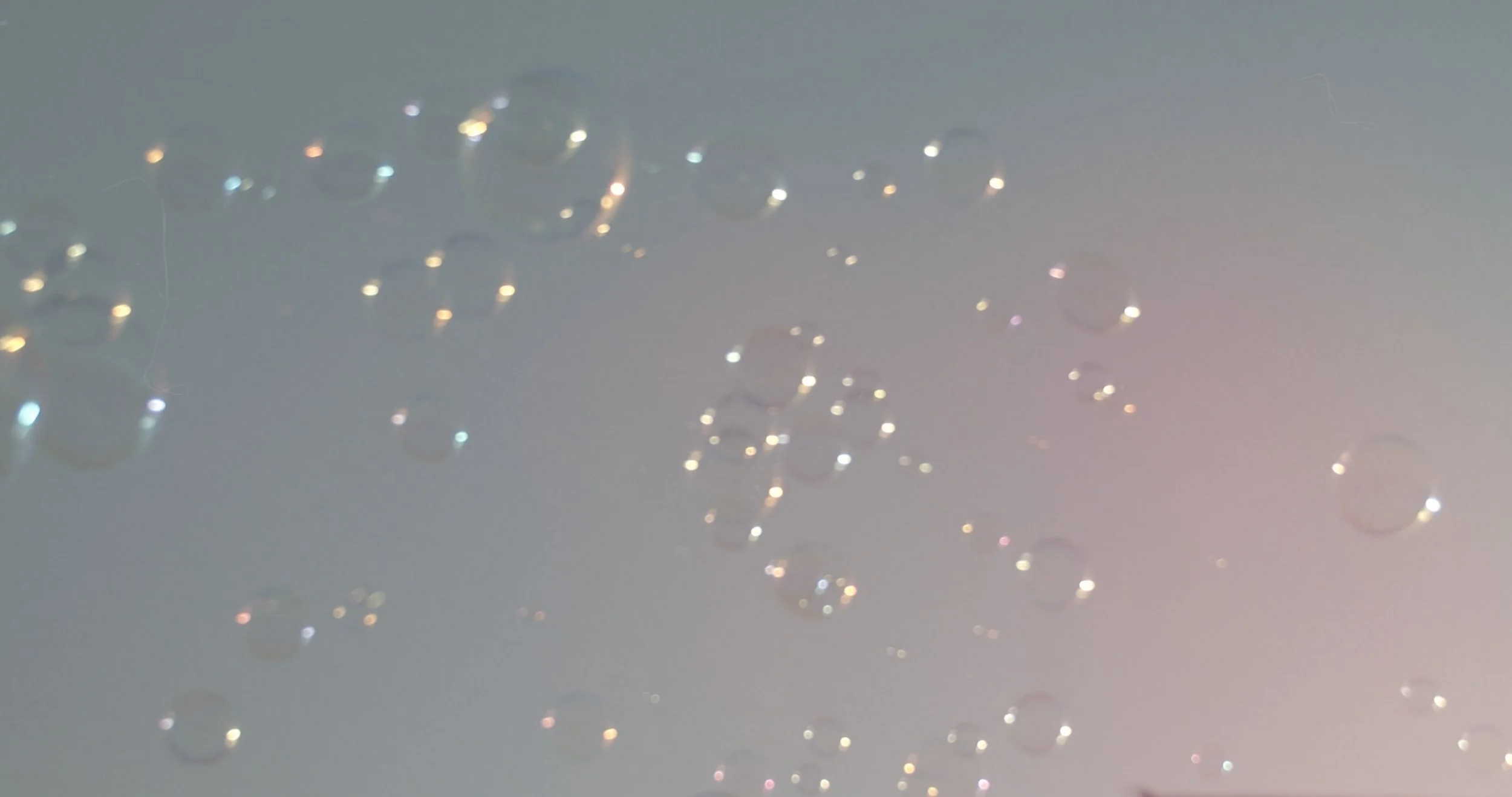 Still 2026-01-17 121001_2.2.1.jpg