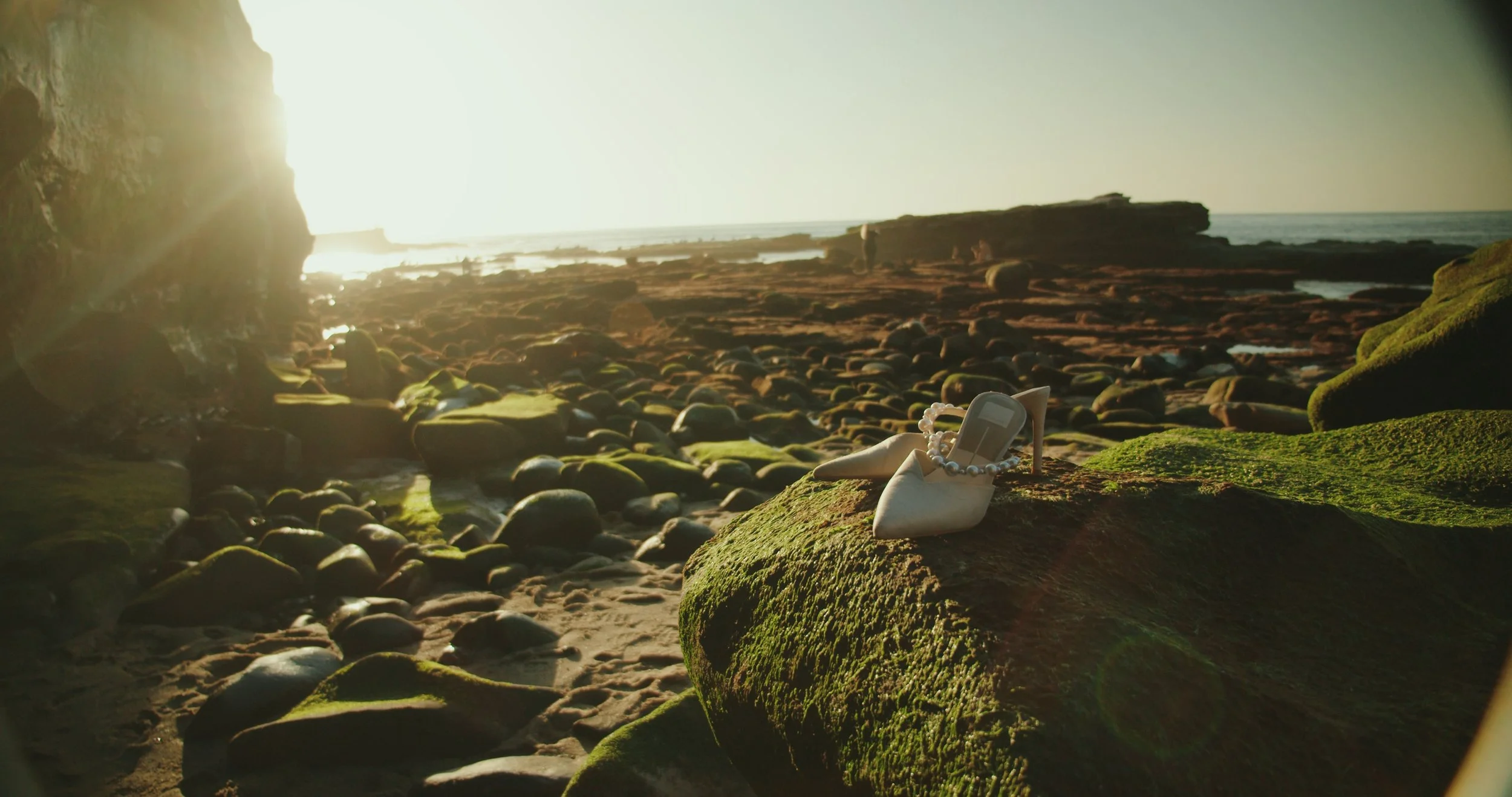 Still 2026-01-17 121001_3.29.1.jpg