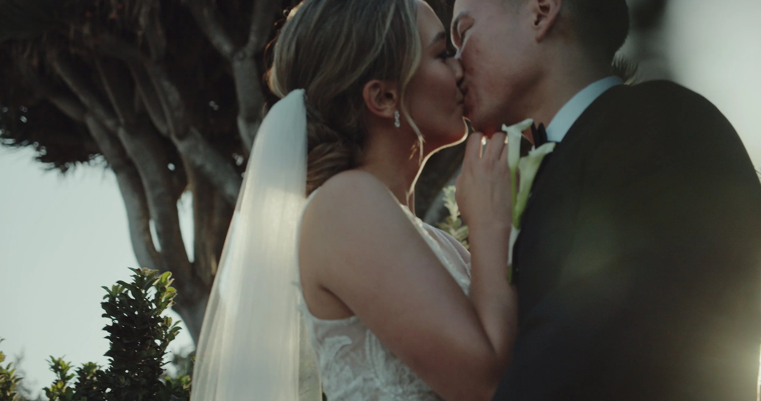 Still 2026-01-17 121001_2.12.1.jpg