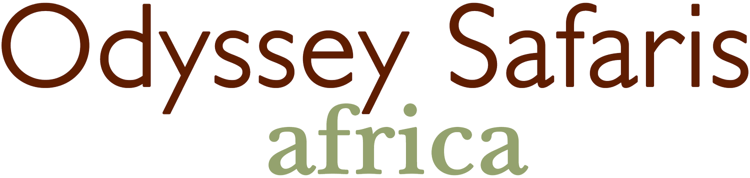 Odyssey Safaris