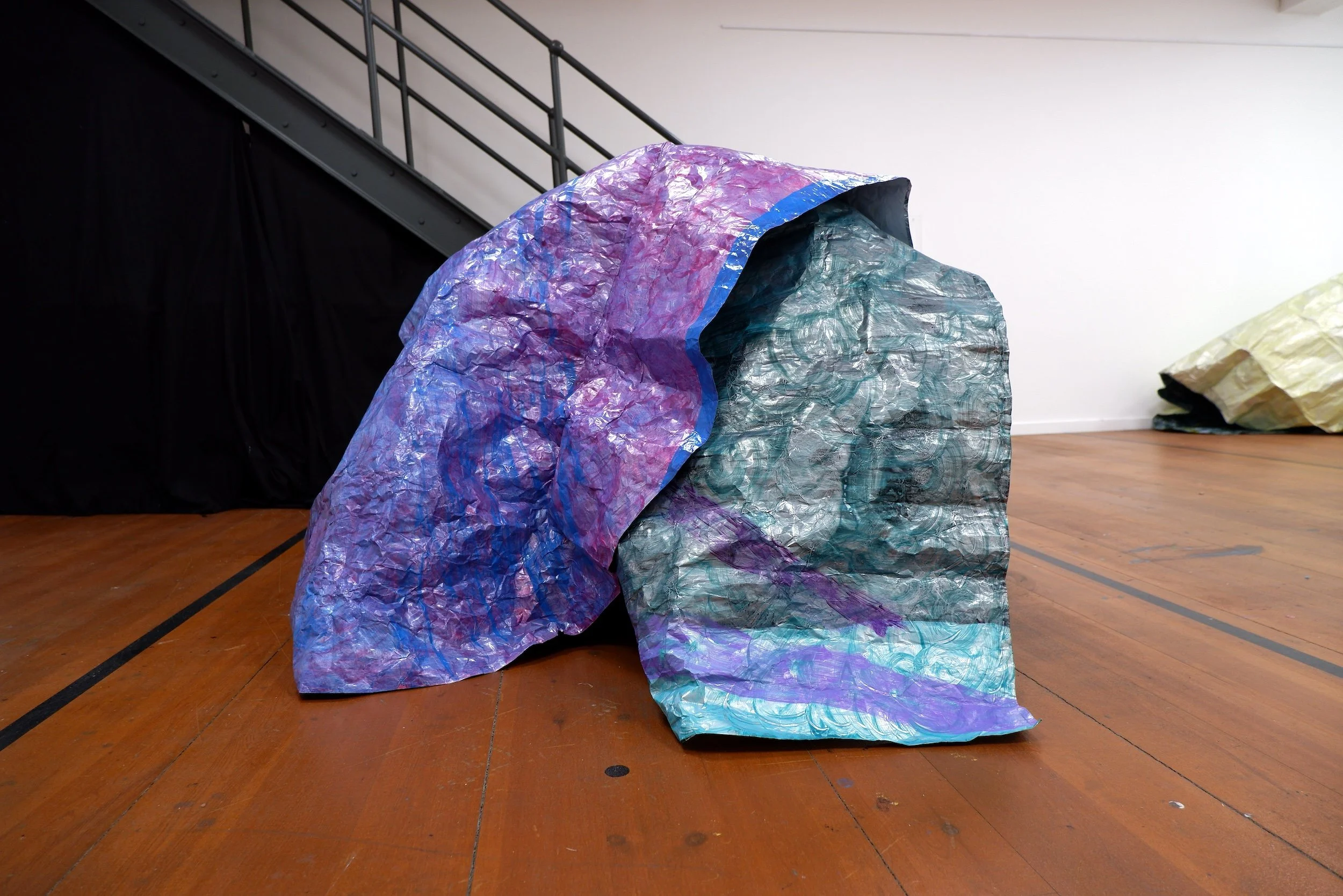 SARAH RYDER — IN SITU