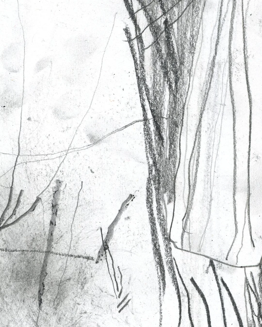 Sarah Ryder A4 Pencil Drawing 24 NOV20244.jpg