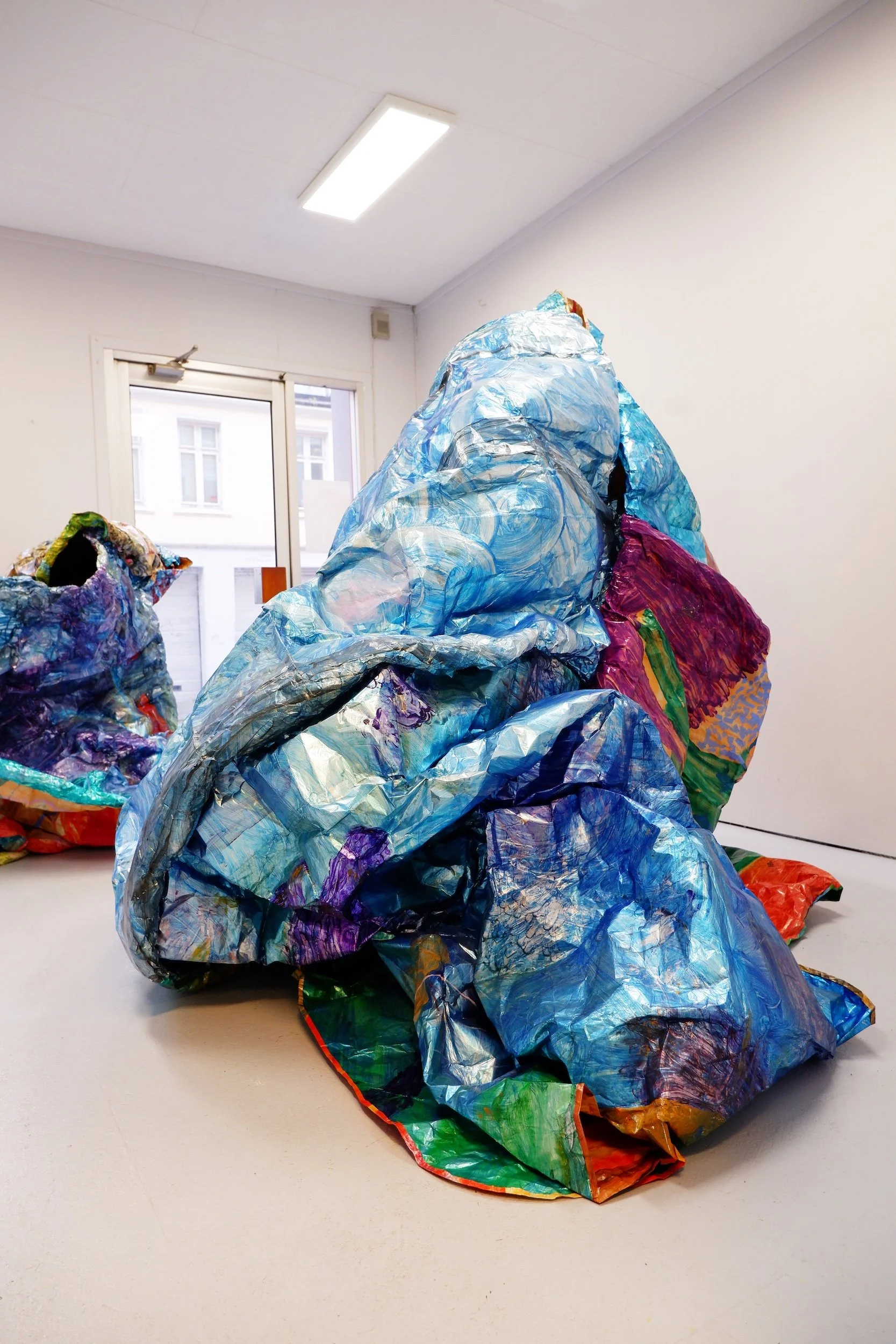 SARAH RYDER — IN SITU