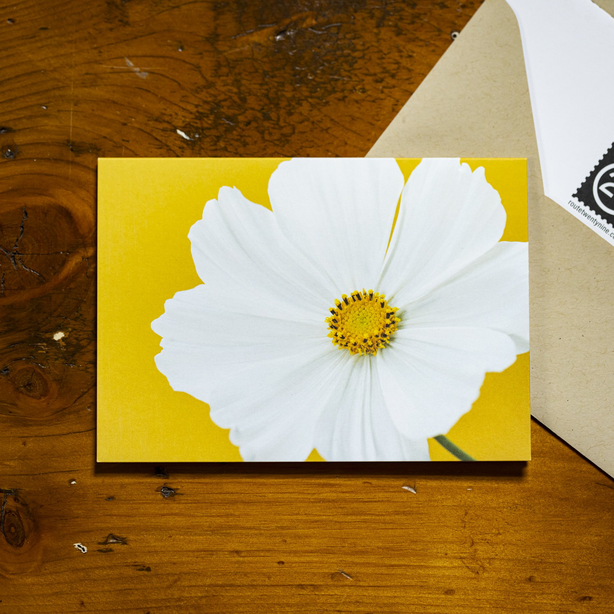 Yellow Cosmo // Card