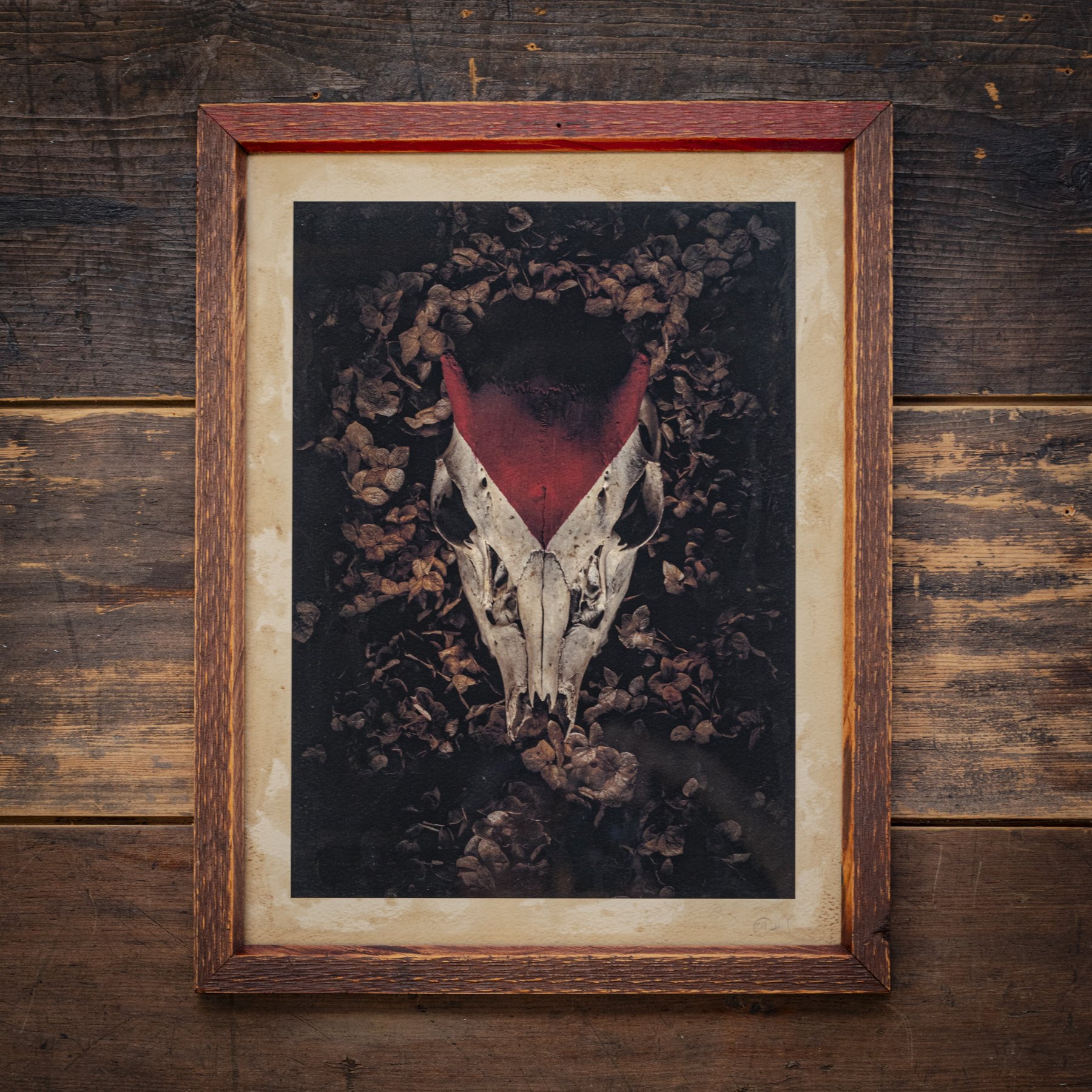 Jersey Devil // First Print