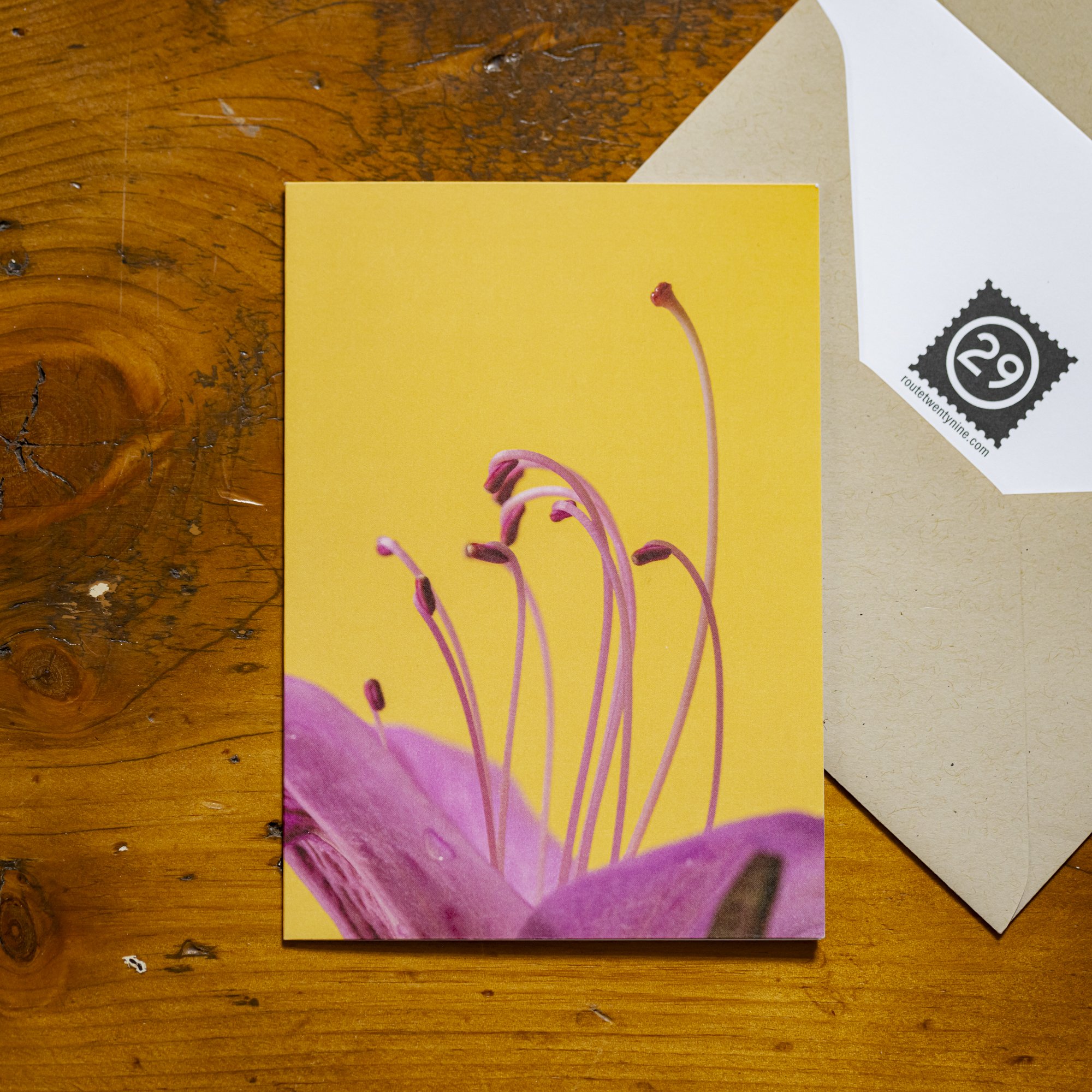 Rising Azalea // Card