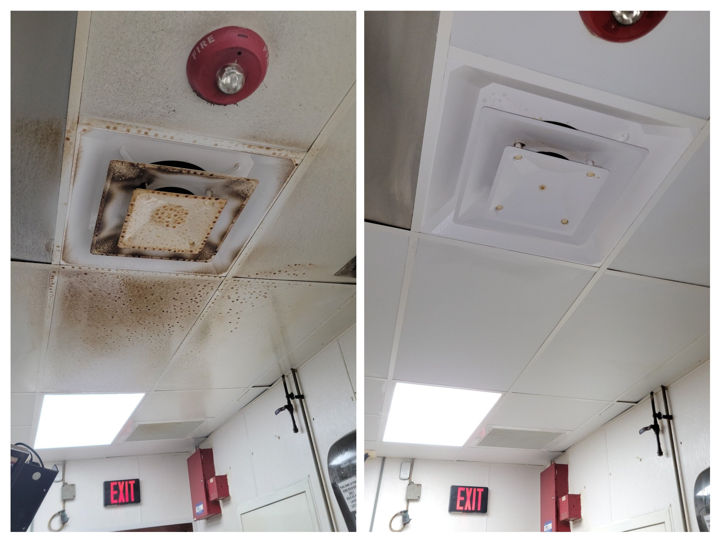 Services — Ceiling Doctors | Ceiling Cleaning, Installation, Repair ...