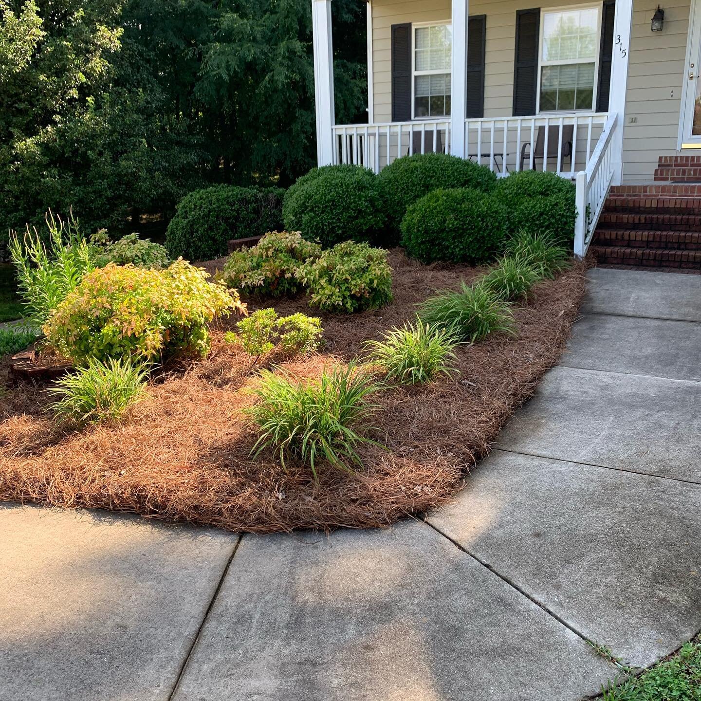 Premier 🌱 📐 &mdash;&mdash;&mdash;&mdash;&mdash;&mdash;&mdash;&mdash;&mdash;&mdash;&mdash;&mdash;&mdash;&mdash;&mdash;&mdash;&mdash;&mdash;&mdash;&mdash;&mdash;&ndash;&mdash;&mdash;&mdash; This is a flowerbed touch up from about 2 weeks ago. No shru