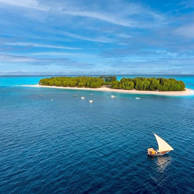 Q3 came in hot!! a few trips i designed that live rent free in my wanderlust-addled brain ✨🐅

@andbeyondmnemba - safari honeymoon wrapped with barefoot luxury on a private island off zanzibar
@aman_i_khas - mother-daughter adventure through India, w