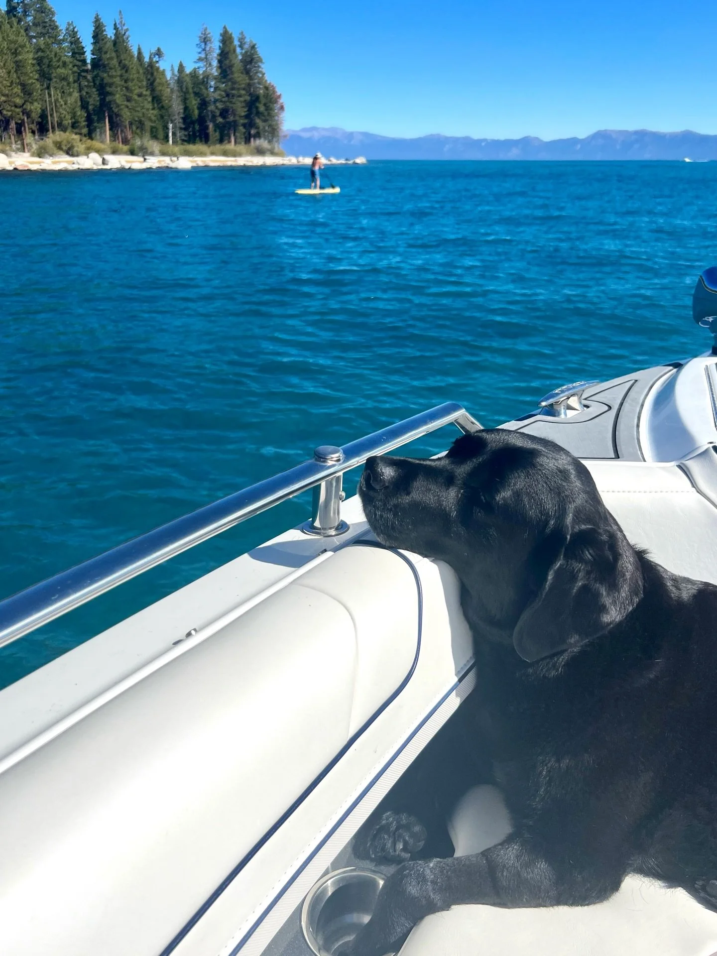 missing you a little extra today. it&rsquo;s impossible to put into words how much you meant to us. love you forever our sweet baby angel 🕊️