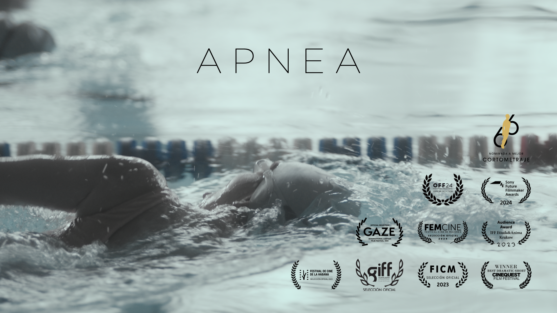 Apnea_Profile picture.001.png