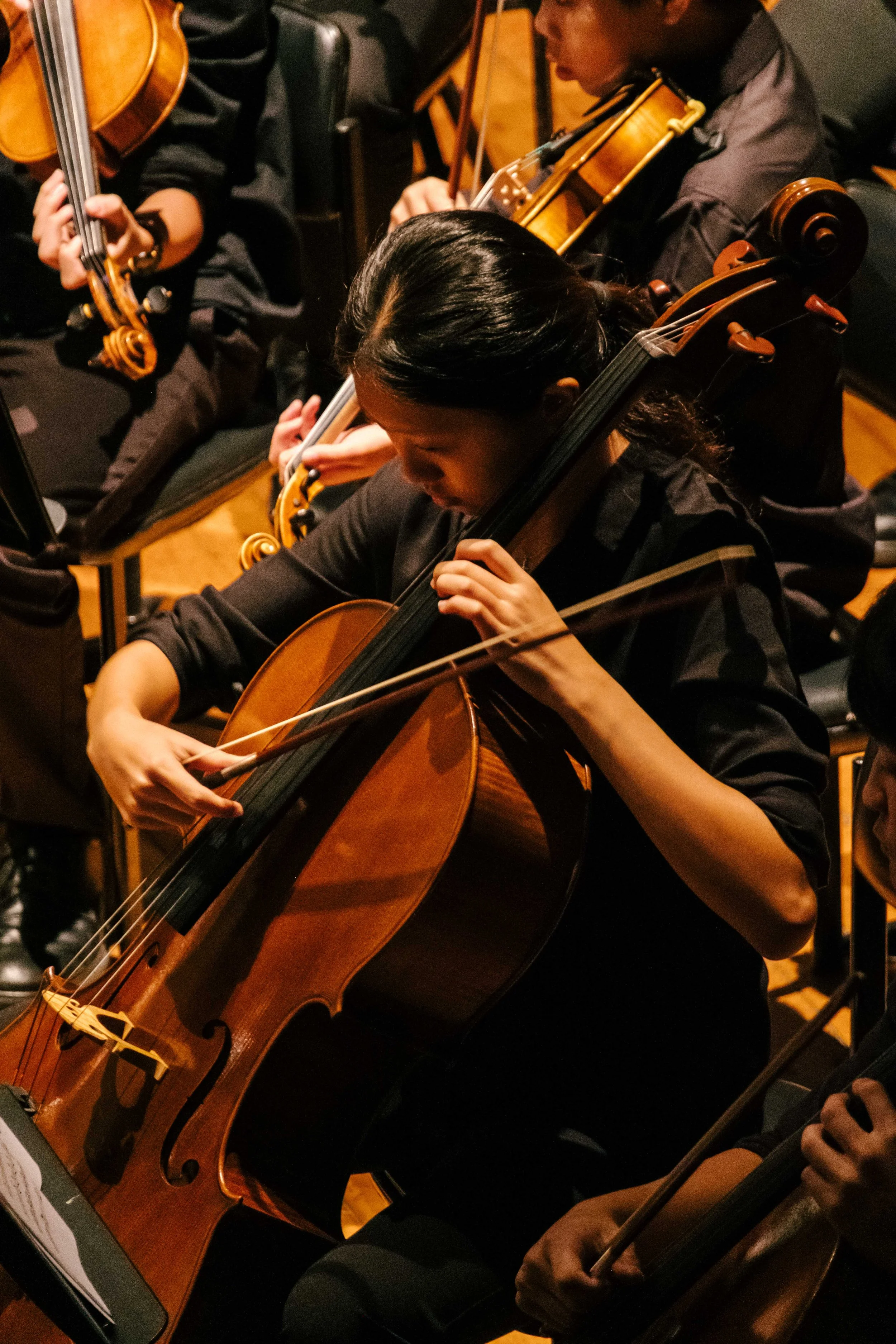 QYO2xQLDBallet Nature's Gathering 2026-13.jpg