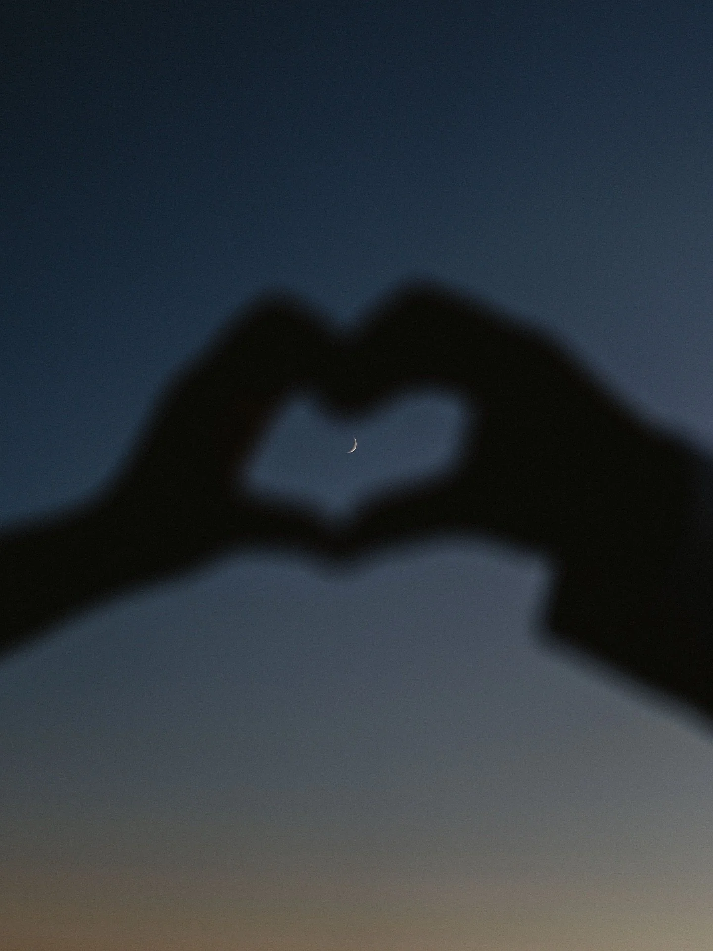 Our 2025 wedding season is officially over!  We just wanted to say thank all the wild ones for trusting us with some of the most important moments of your lives!  We love you all!  Stay wild, and stay in love.  #🥰