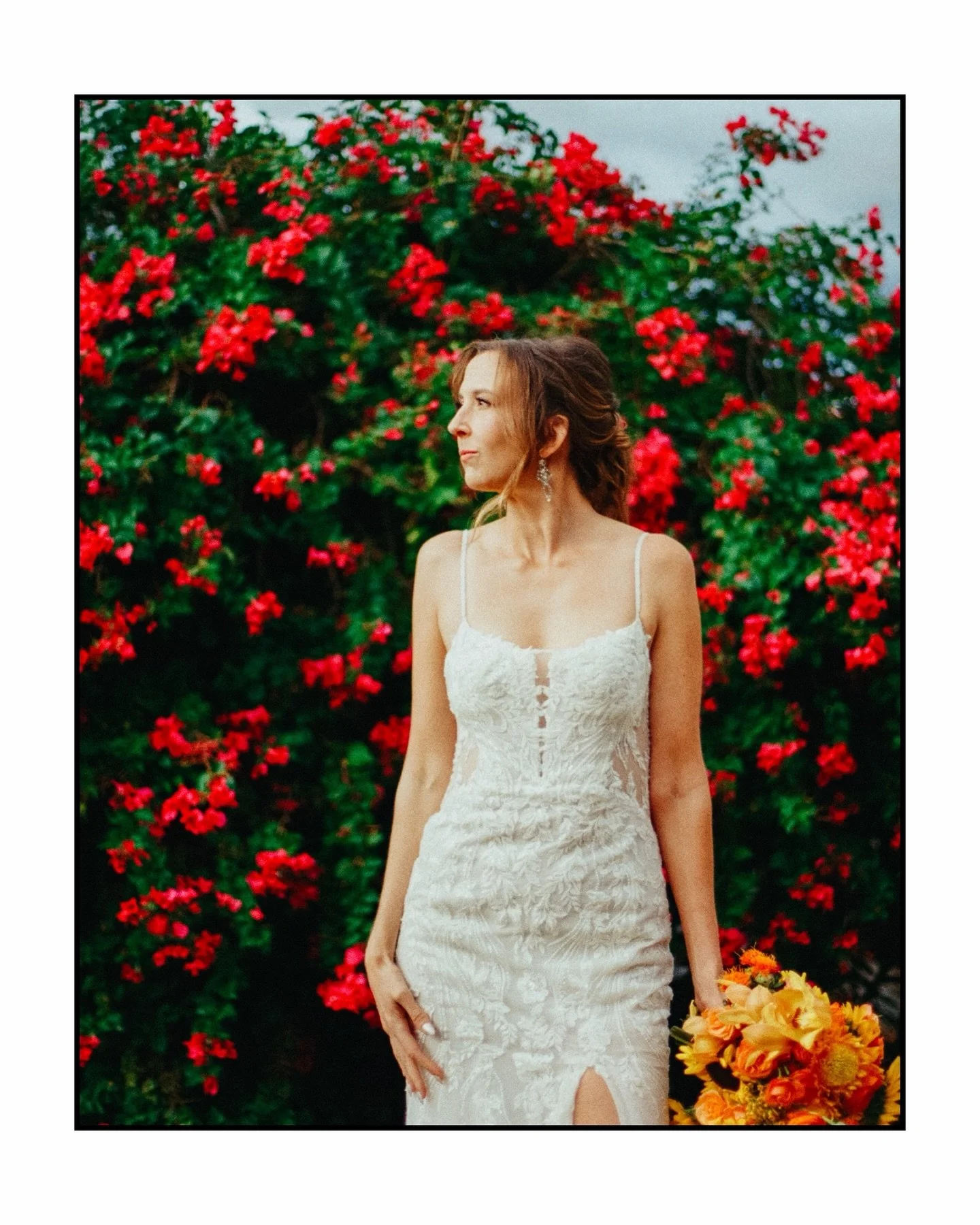 Film will never die.  Film grain, and the REEL deal still cannot be duplicated 💯 film is like love.  It&rsquo;s not perfect,  it always changes,  and it&rsquo;s beautiful.  Every package this year will receive three complimentary rolls of film!  Sho