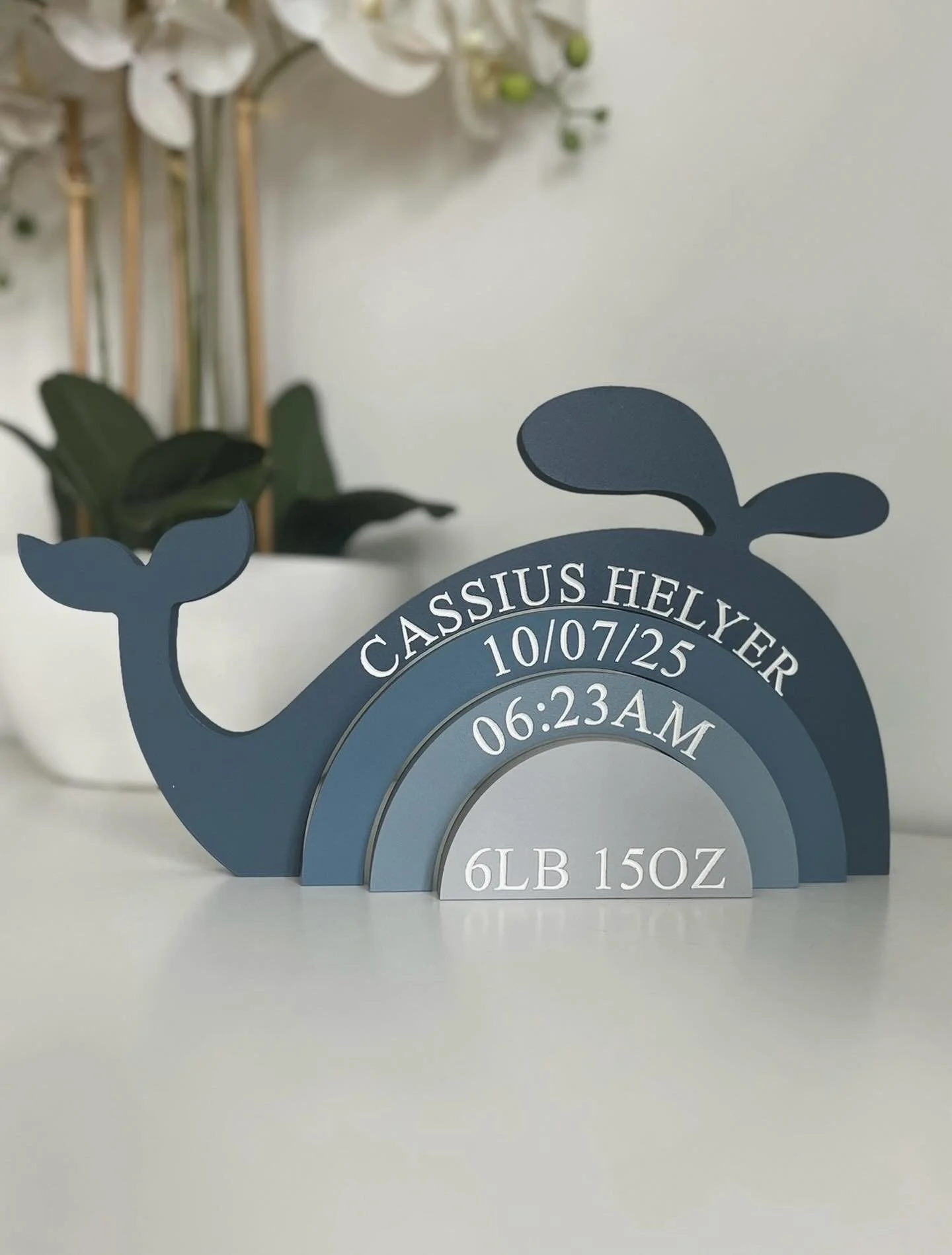 I love opening up each theme on our website and seeing so many options, forever adding new themes and collections😂🐳

🔎 Whale Stacker
🎨 Navy Combo

#navynursery #sealifenursery #whalenursery #babykeepsake #newbabygift