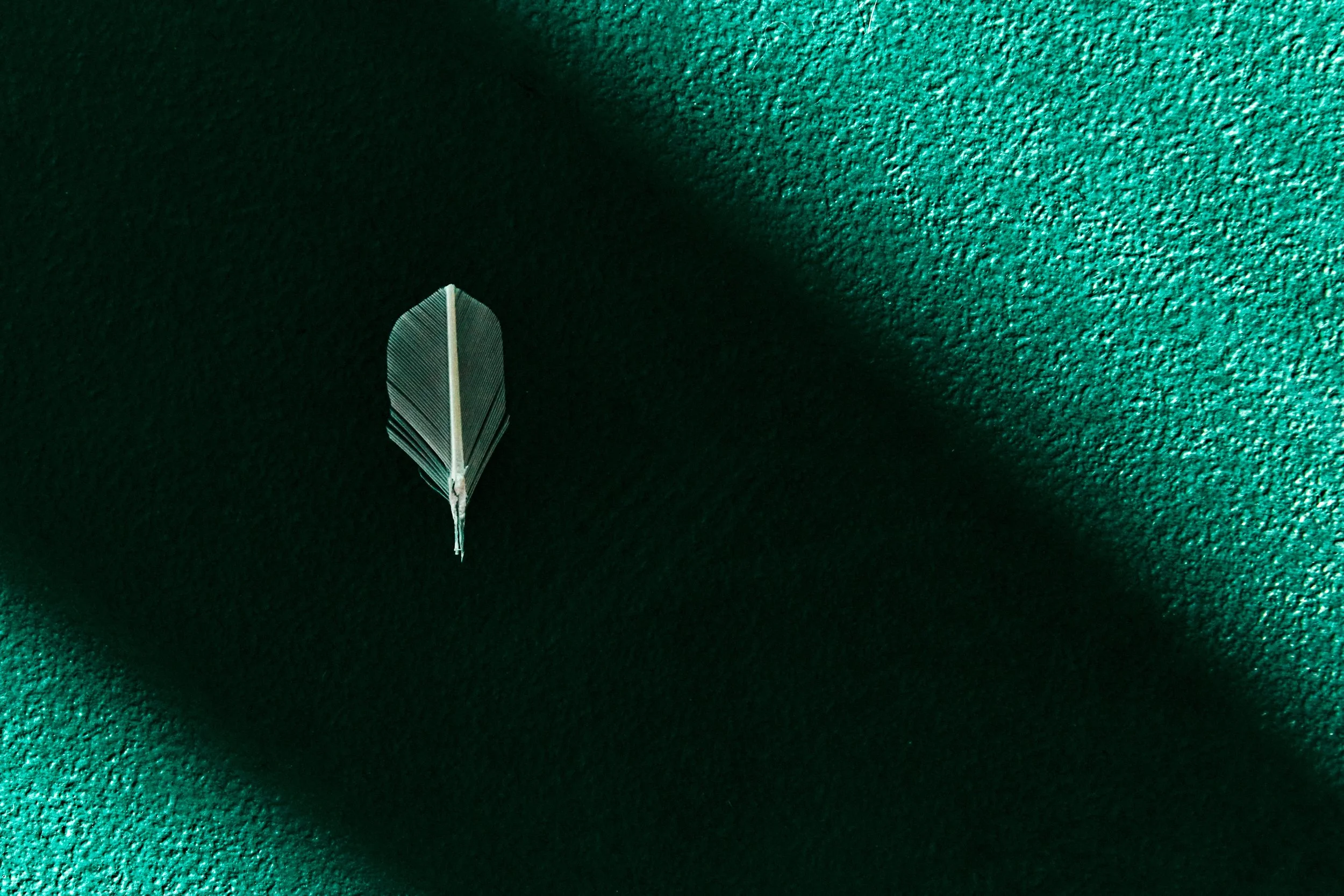 Badminton-test- 1.jpg