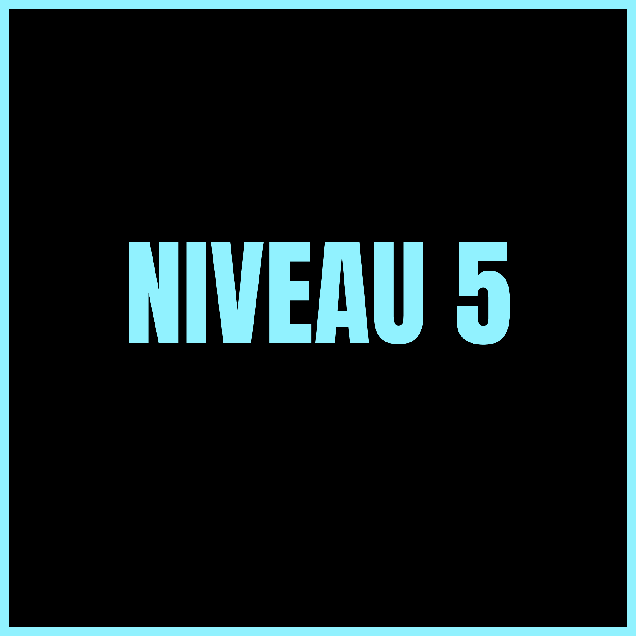 Niveau 5