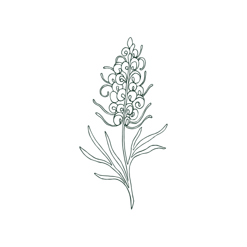 Single flower representing individual relationship counselling