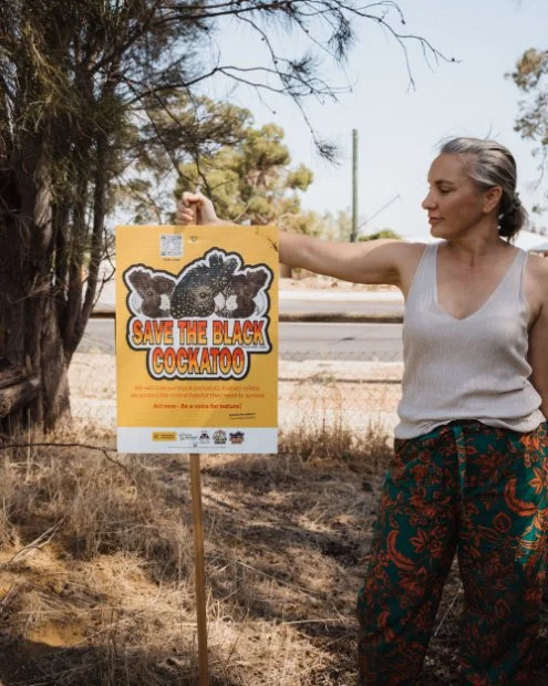 verity mansfield helps rescue black cockatoos