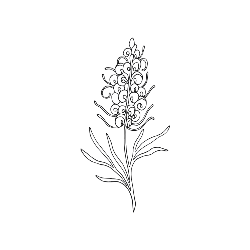 Single flower representing individual relationship counselling