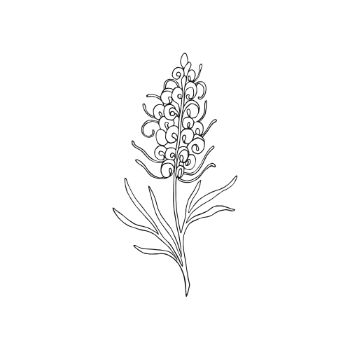 Single flower representing individual relationship counselling