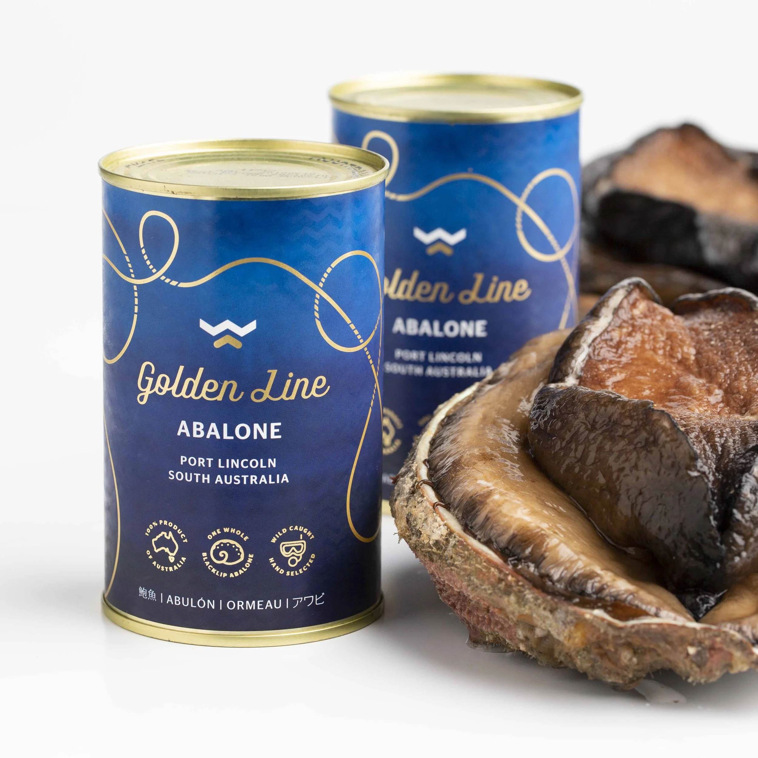 22. Abalone Can - Golden Line.jpg