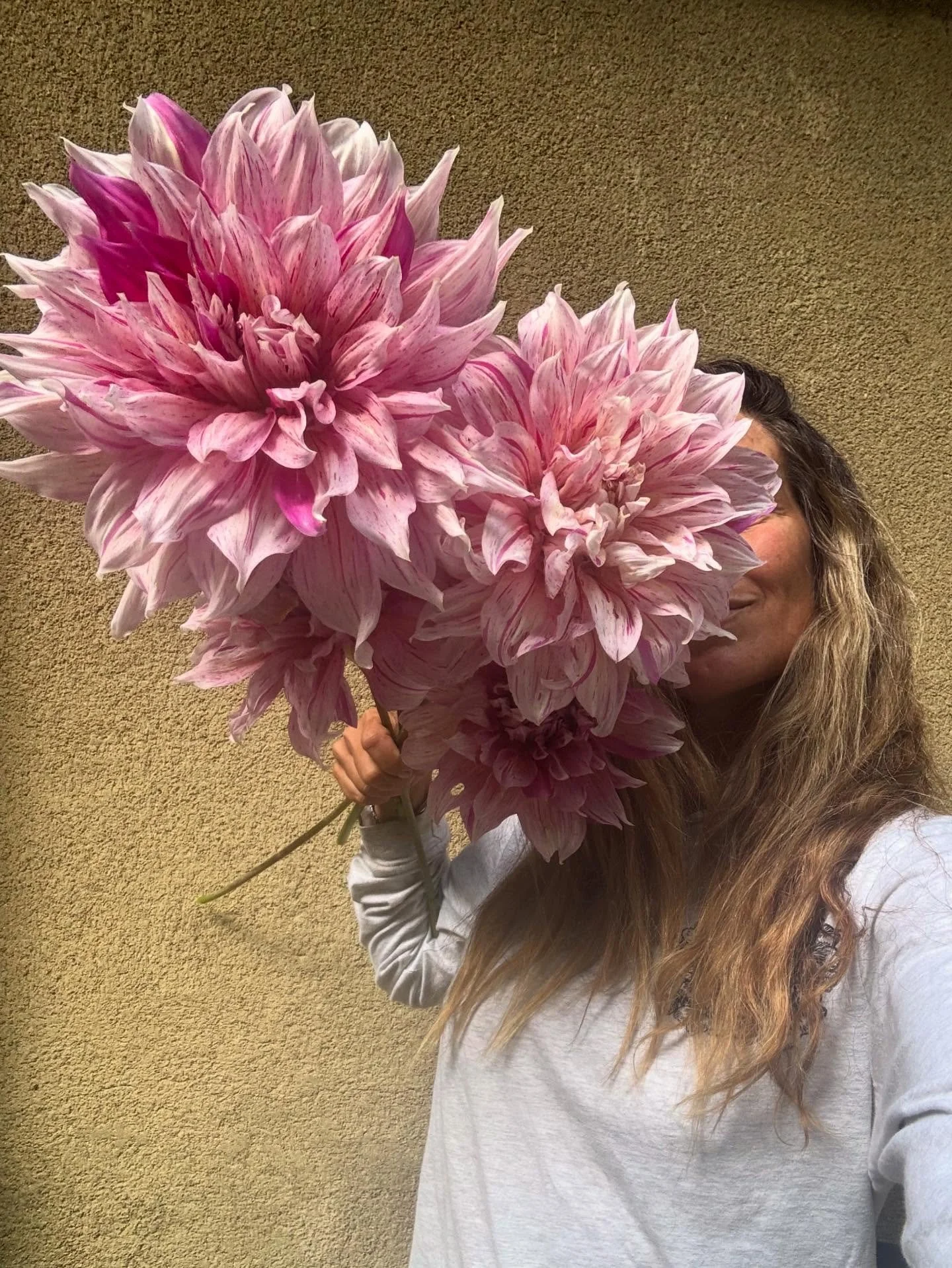My equivalent of a fish pic.

.

#homegrown #dahlia #dahlias #dinnerplatedahlias #farmerflorist #gardenersdelight