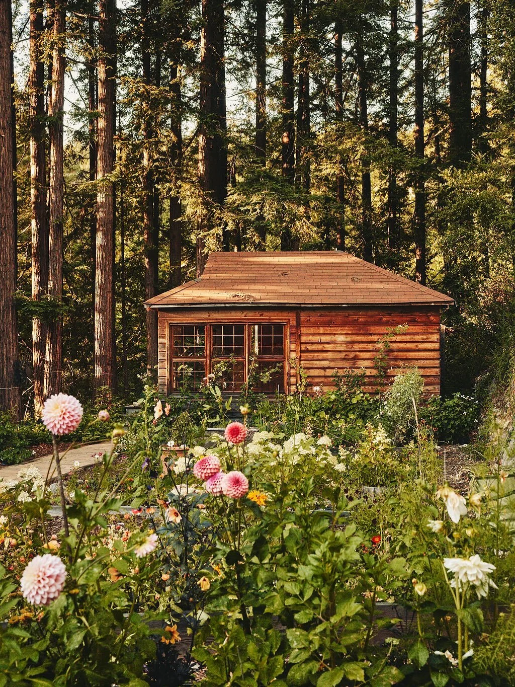 Snippets of home as seen by my friend @cheyenneellis