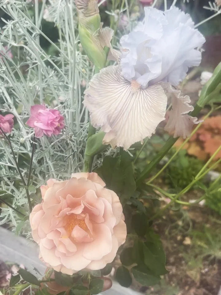 The garden is coming to life and providing some exquisite bits and bobs working their way to into our event arrangements. 
Meanwhile, the gophers have declared war and are winning on all fronts. At this point, I&rsquo;m just funding their underground