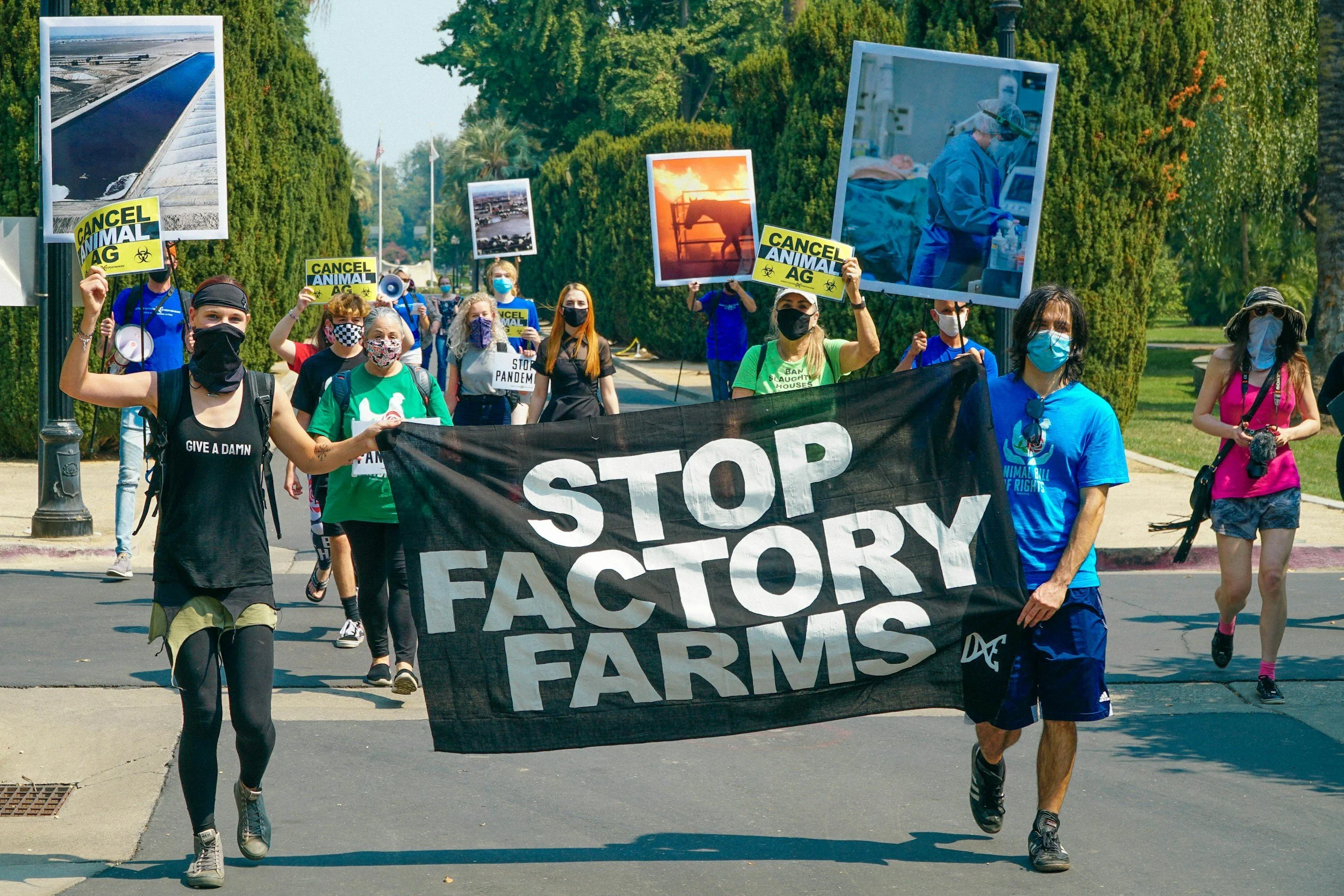 Stop Factory Farms