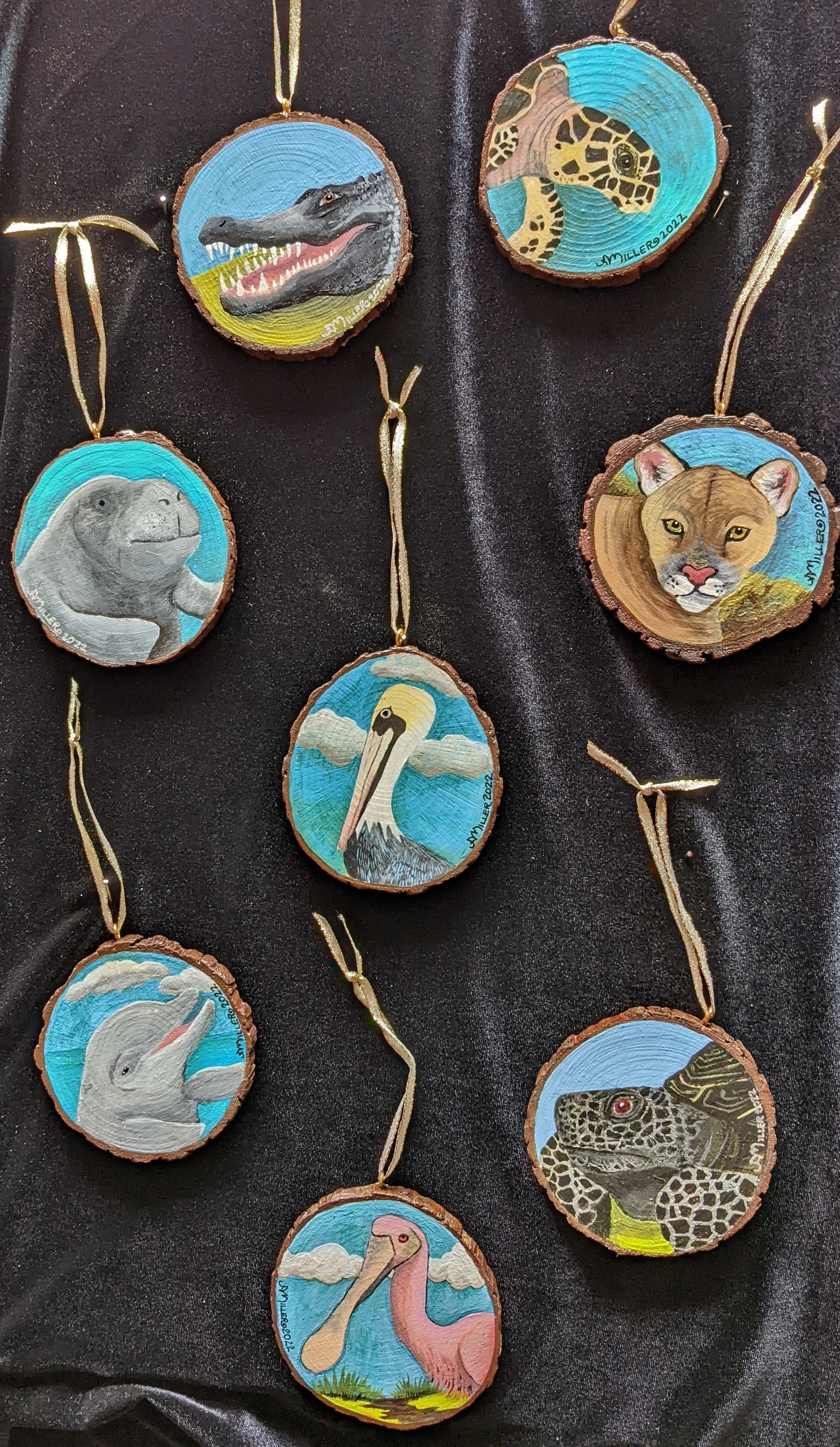 South Florida/ Everglades Wildlife