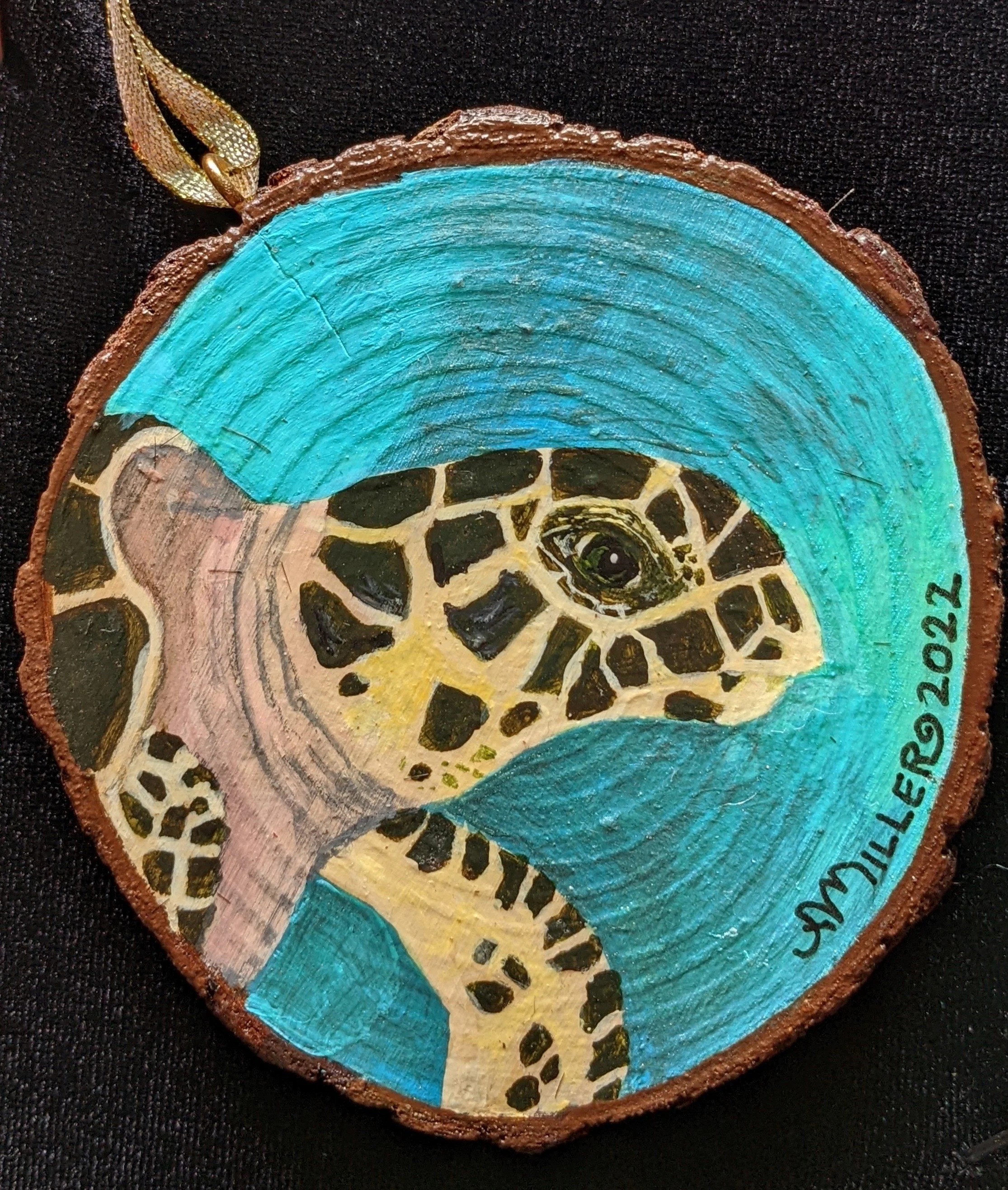 Hawksbill Seaturtle.jpg