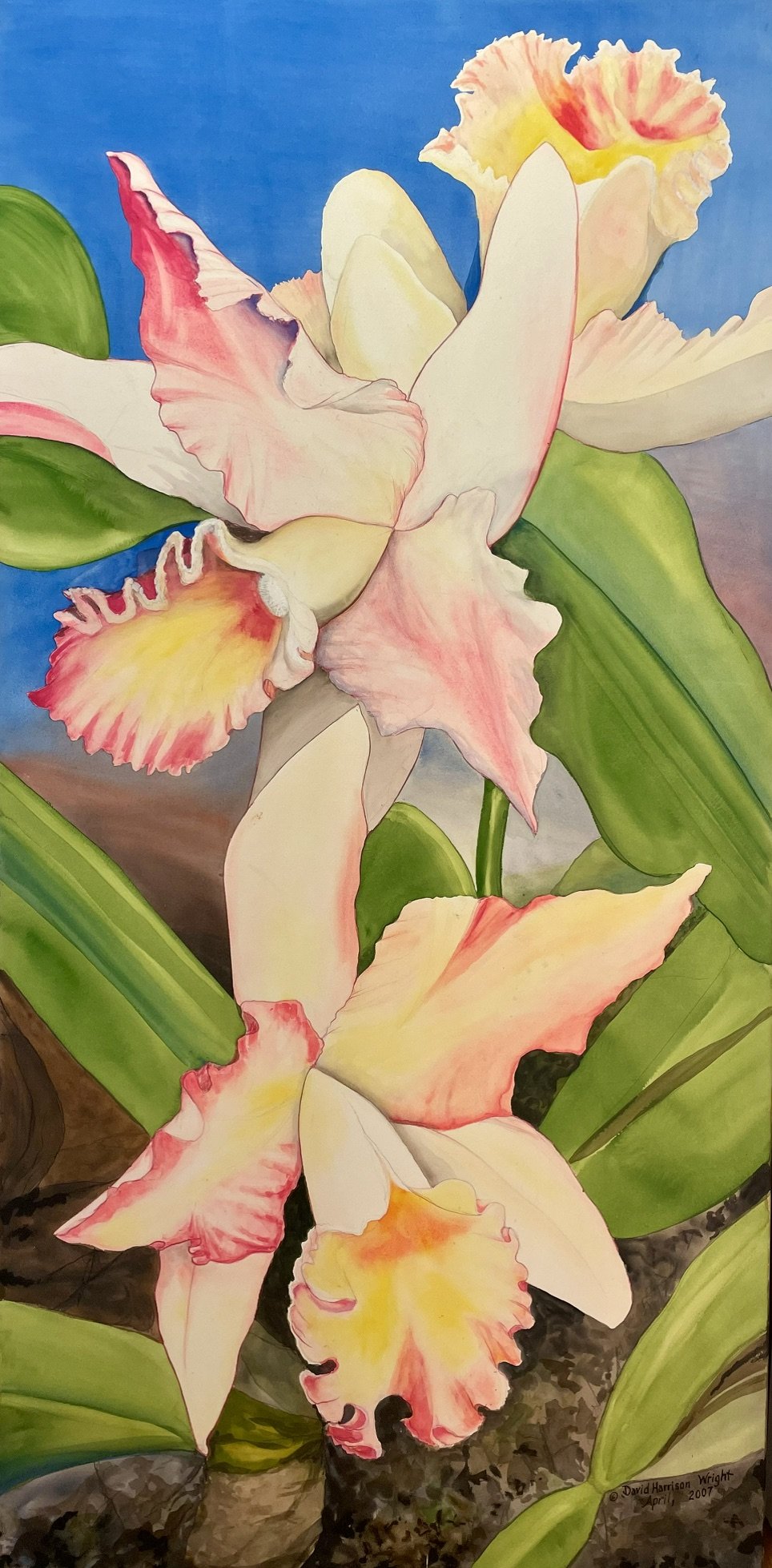 Orchids by David Harrison Wright.  Original Watercolor, 26"x 72" ~ $1,250