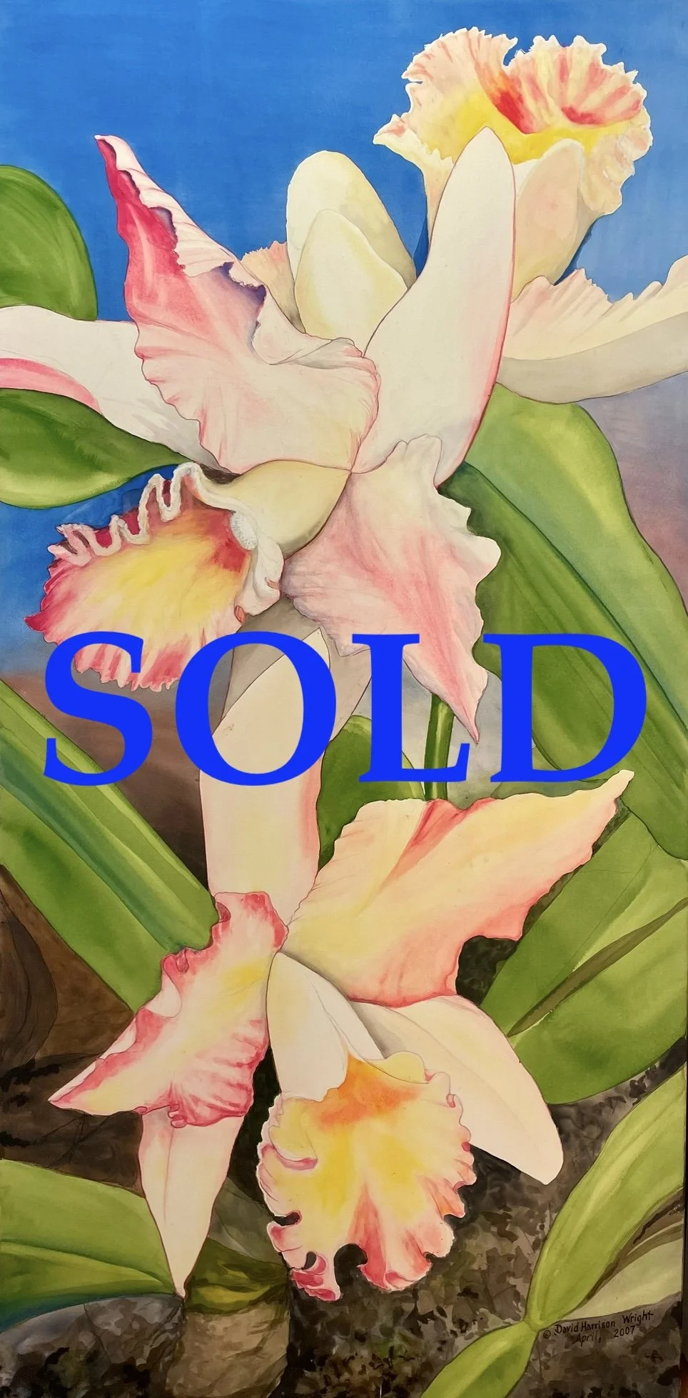 Orchids by David Harrison Wright.  Original Watercolor, 26"x 72" ~ SOLD