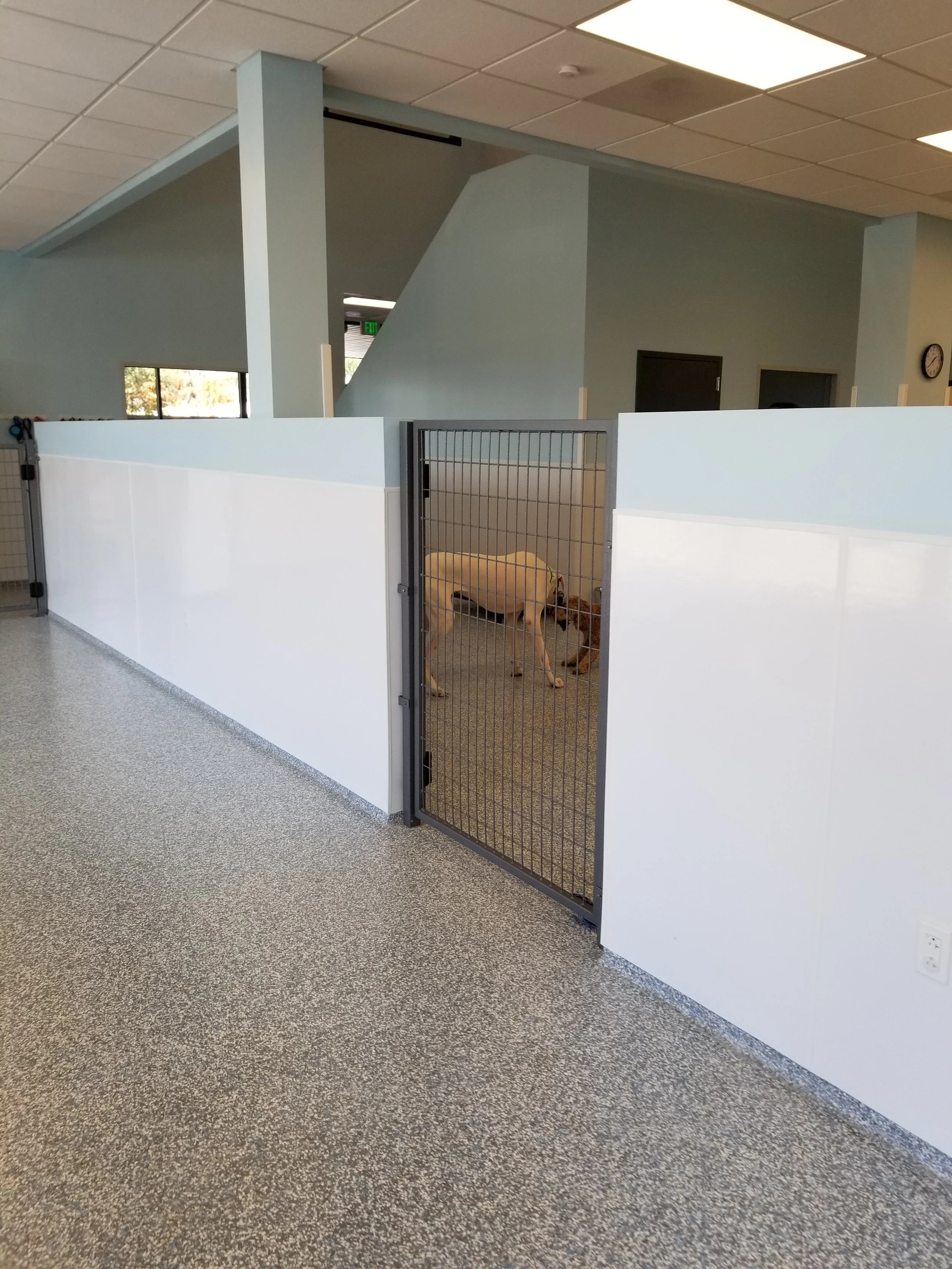 Doggy Daycare Dog Room Divider Ideas Tall Pet Room Divider Outlet