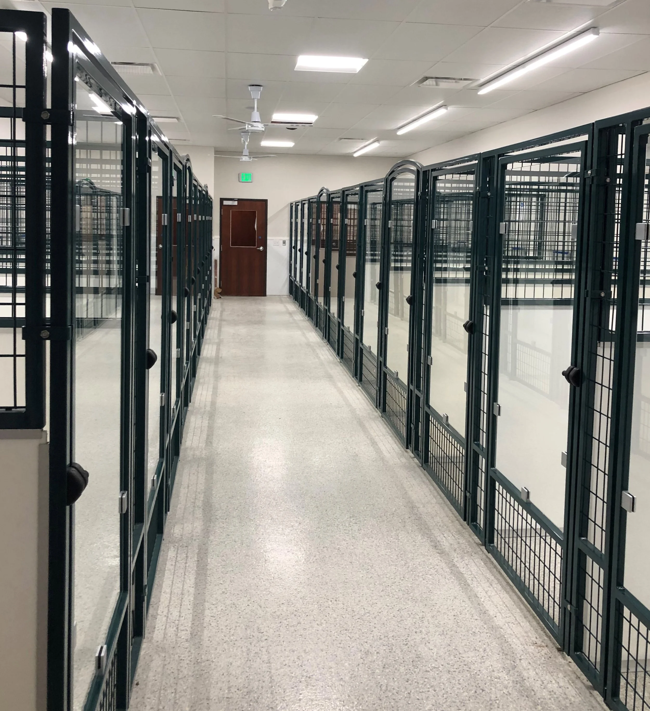 Tempered Glass Kennels — Presidio Custom Kennels NEW