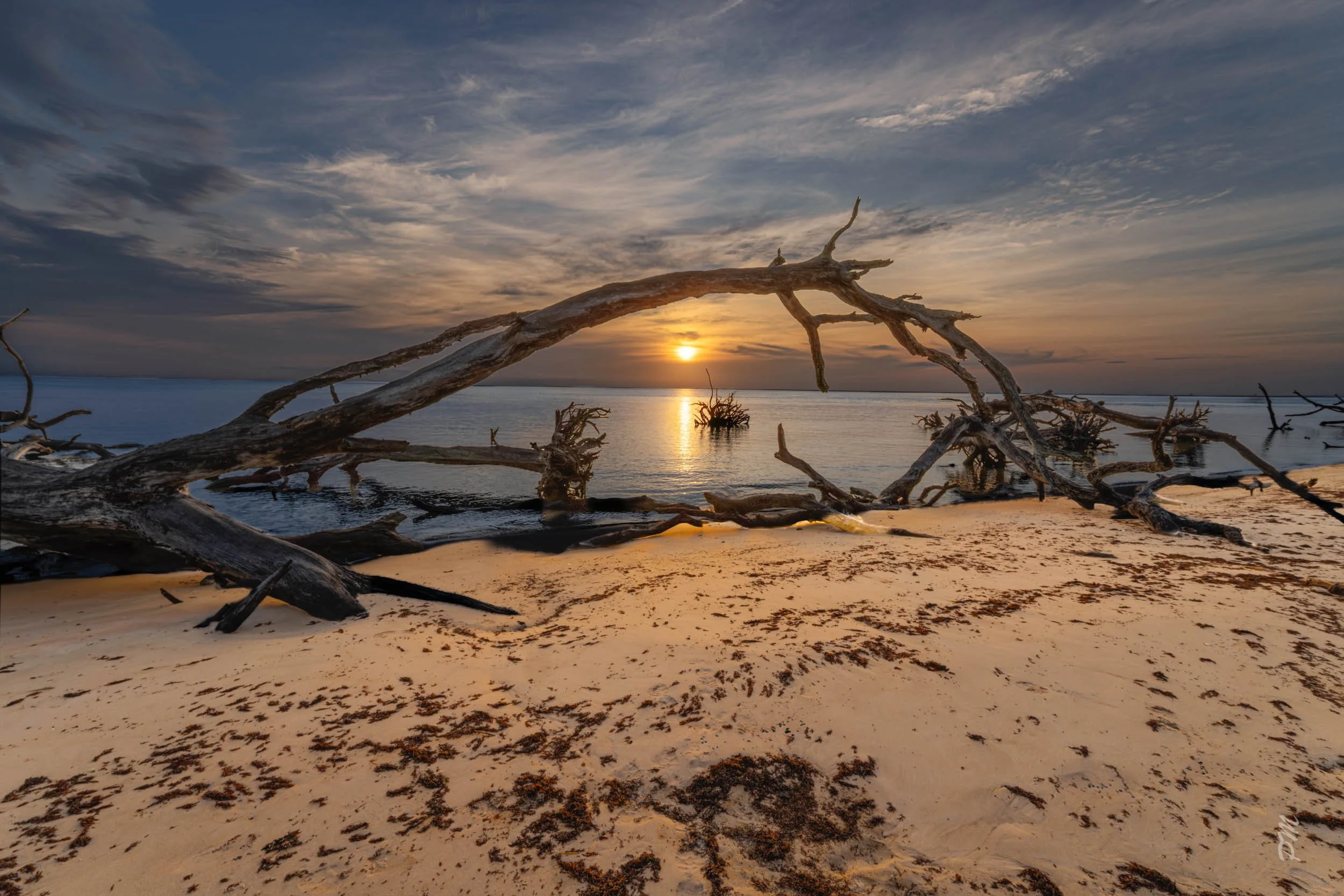 Amelia Island, Florida