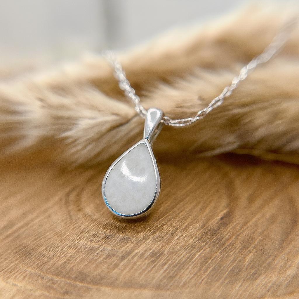 thumbnail - 2025-11-10T080851.225.jpg