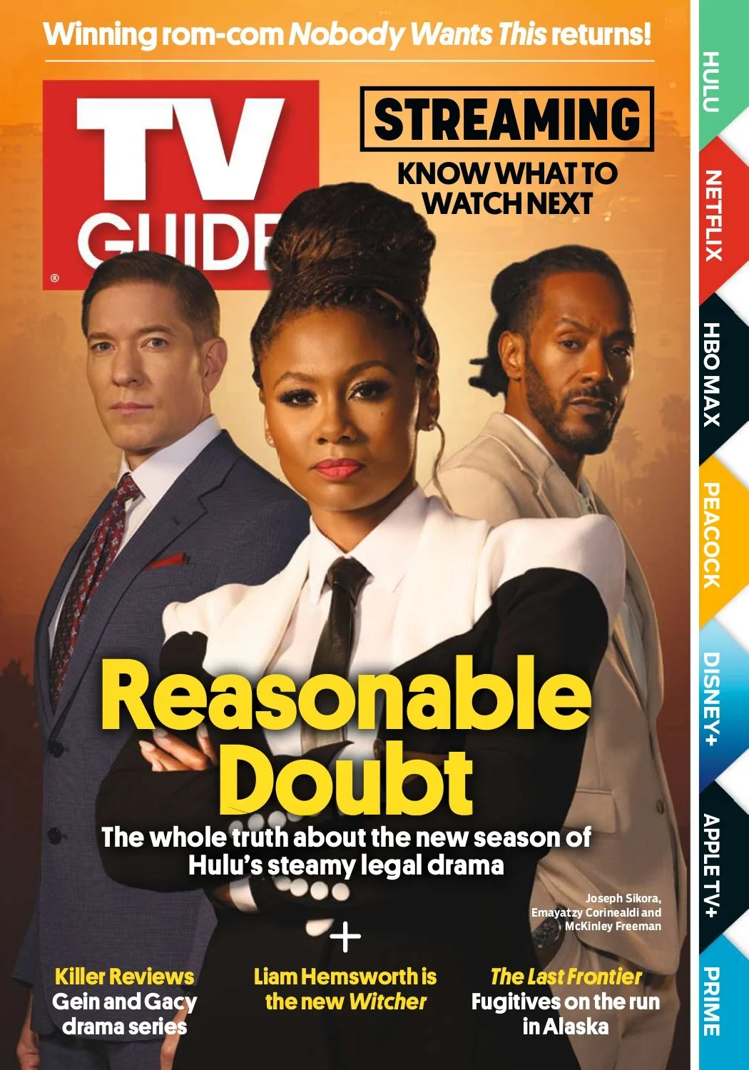 Reasonable Doubt Cover.jpg