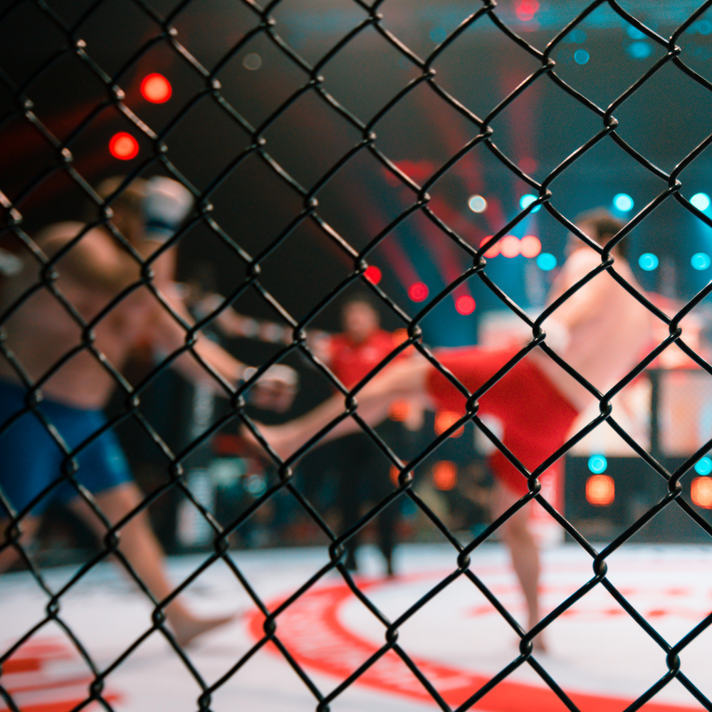 UFC fight live on the big screens at The Kingslander, Kingsland