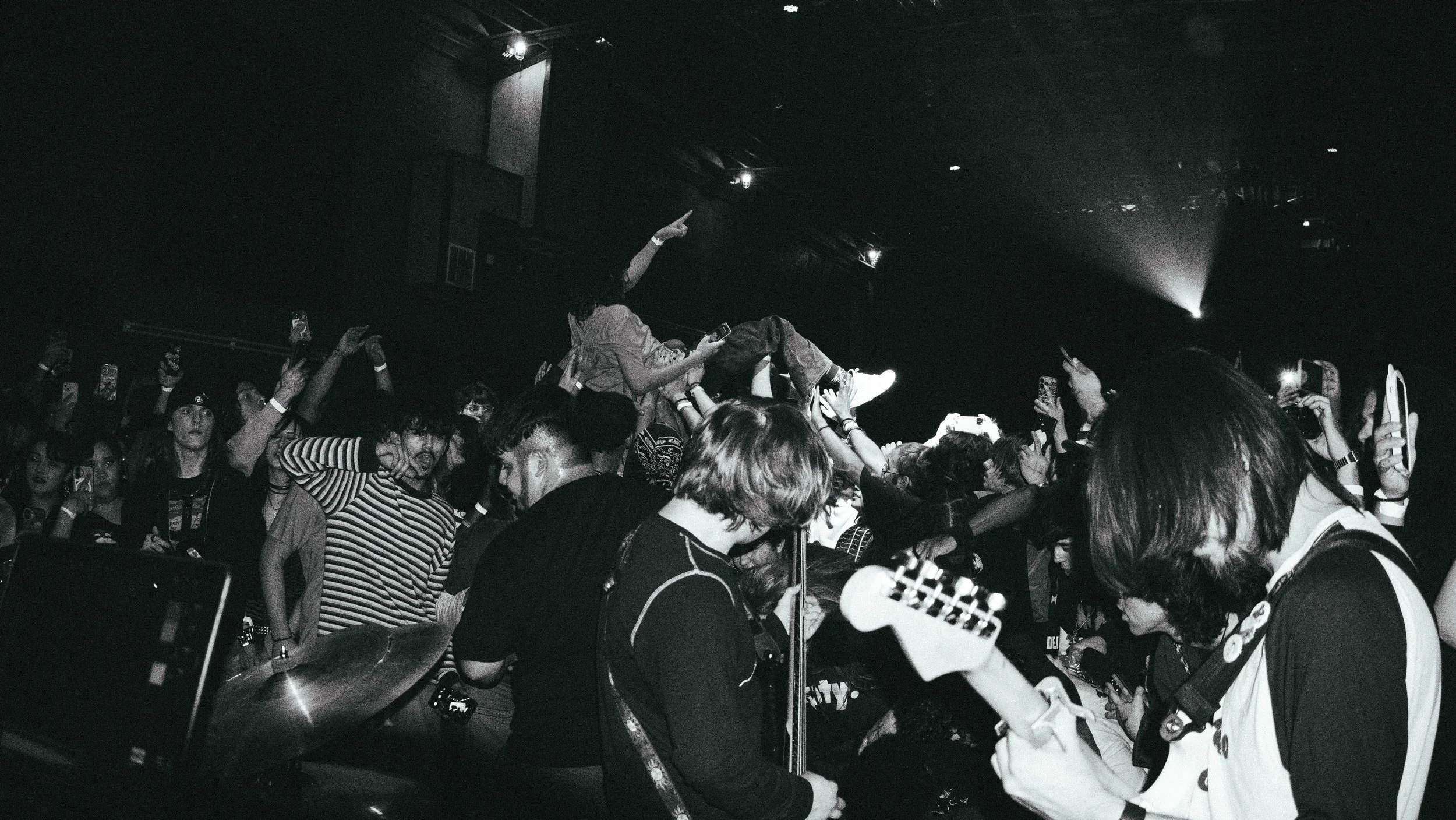 Dead Butterflies Crowd Photo.jpg