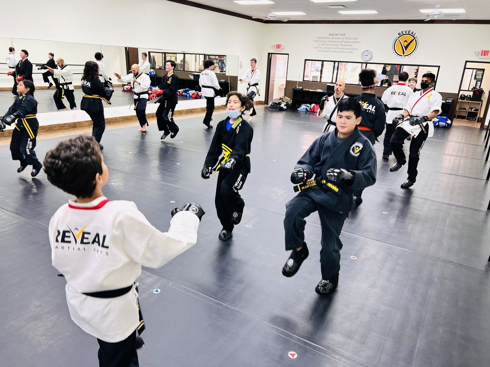 reveal-martial-arts-karate-classes-southlake-grapevine-colleyville-keller-alliance-heritage-fort-worth-1.jpeg