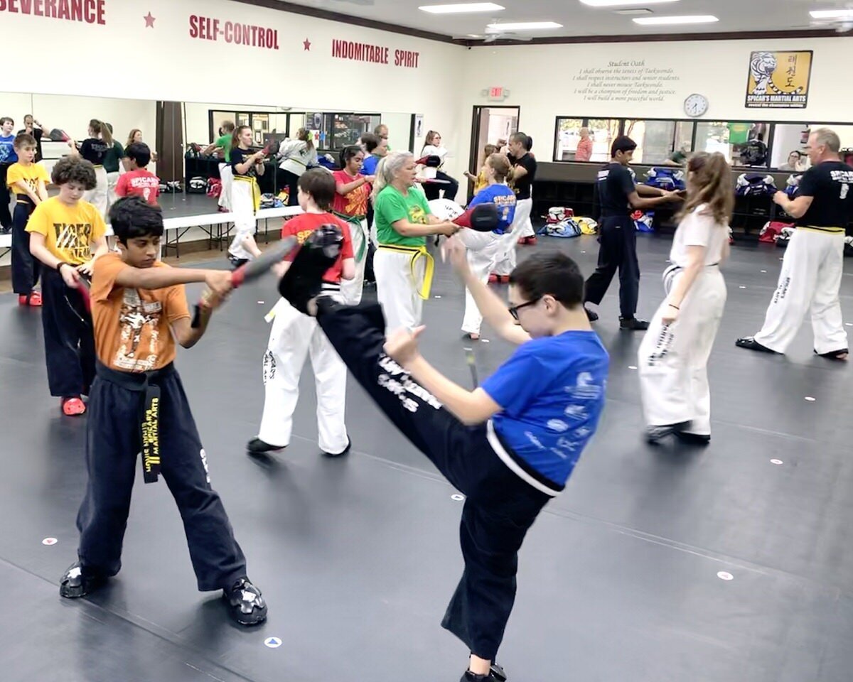 reveal-martial-arts-taekwondo-karate-southlake-keller-grapevine-alliance-texas-4.jpeg