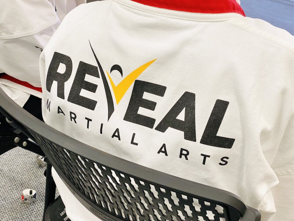 reveal-martial-arts-taekwondo-karate-southlake-grapevine-keller-alliance-7.jpeg