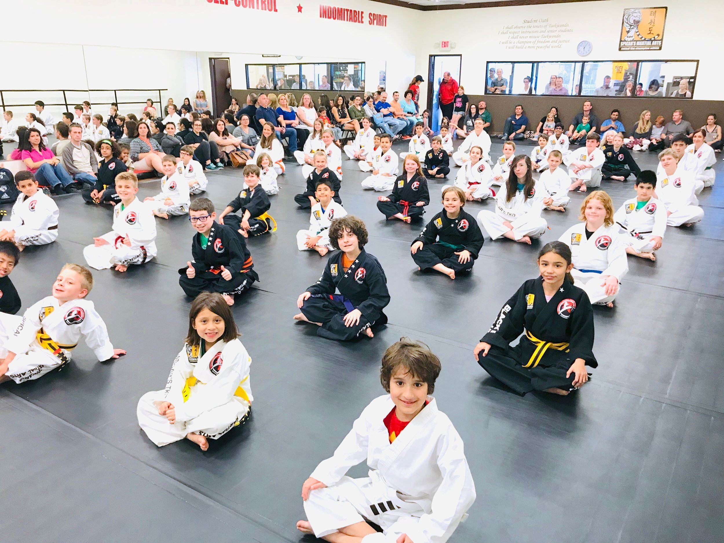 Why Belt Test and the Testing Process Matters — Reveal Martial Arts