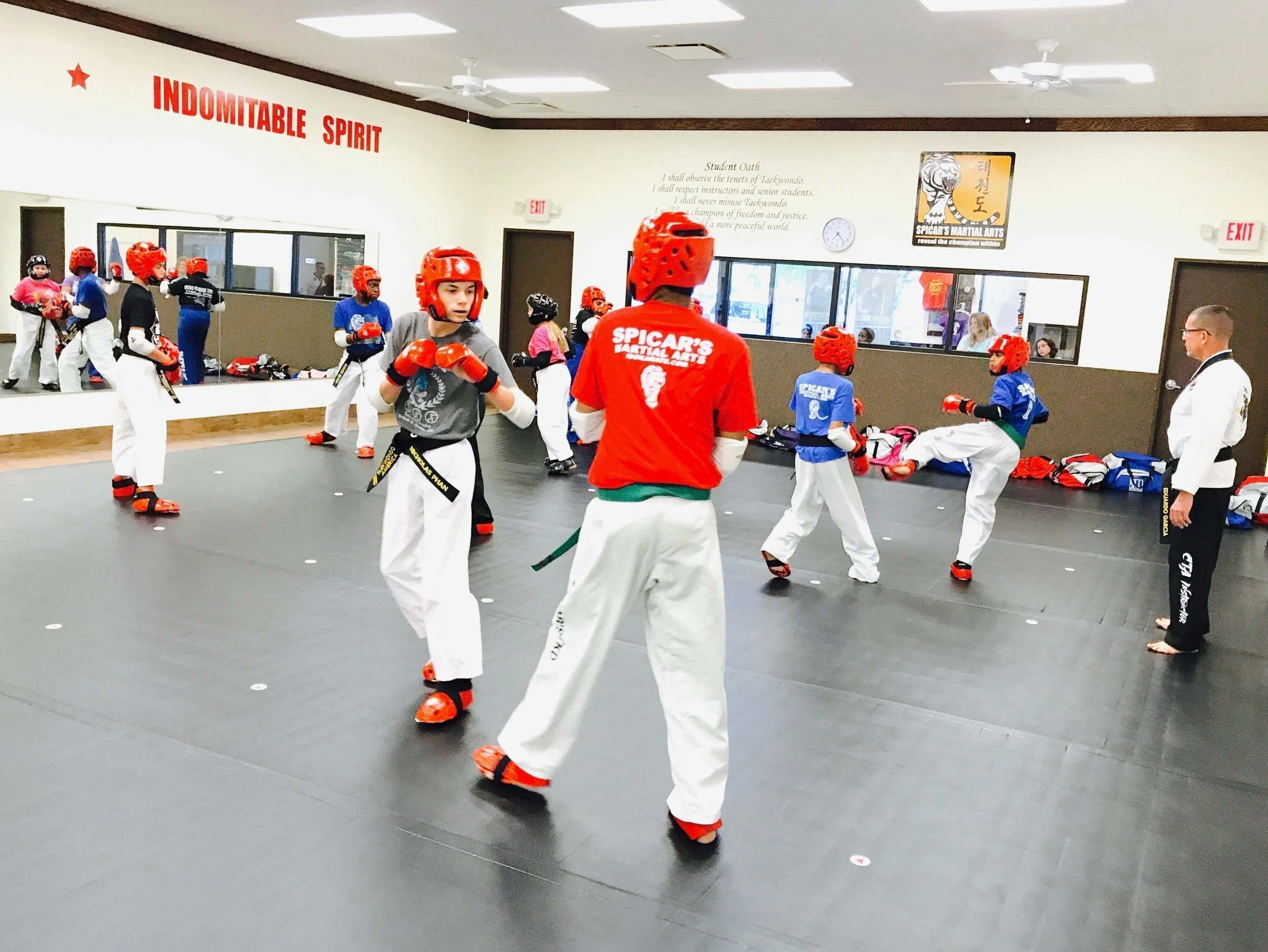 Sparring Rams The Importance of Sparring — Reveal Martial Arts