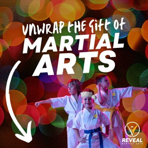 Unwrap The Gift of Martial Arts - Why&nbsp;Right Now&nbsp;Is the Best Time to Start Your Child at Reveal Martial Arts