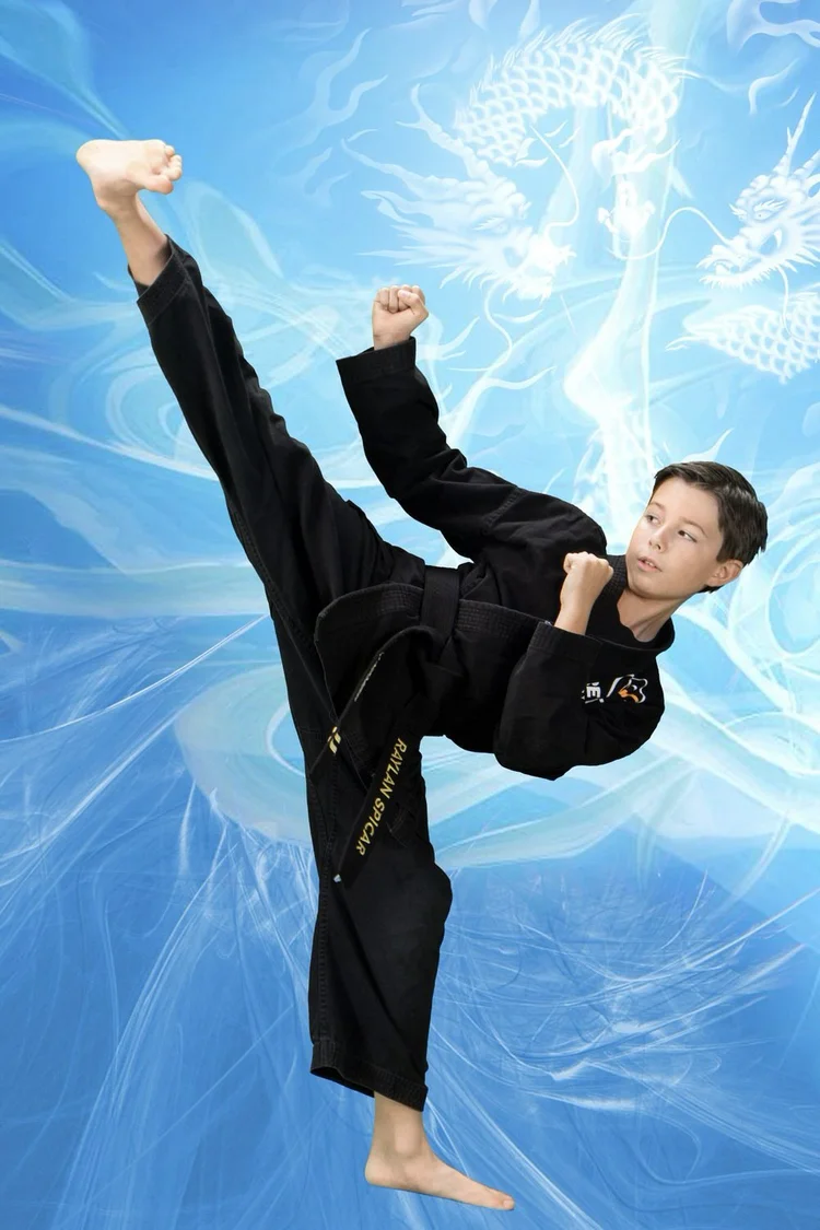 Why is taekwondo considered a separate martial art and not just a