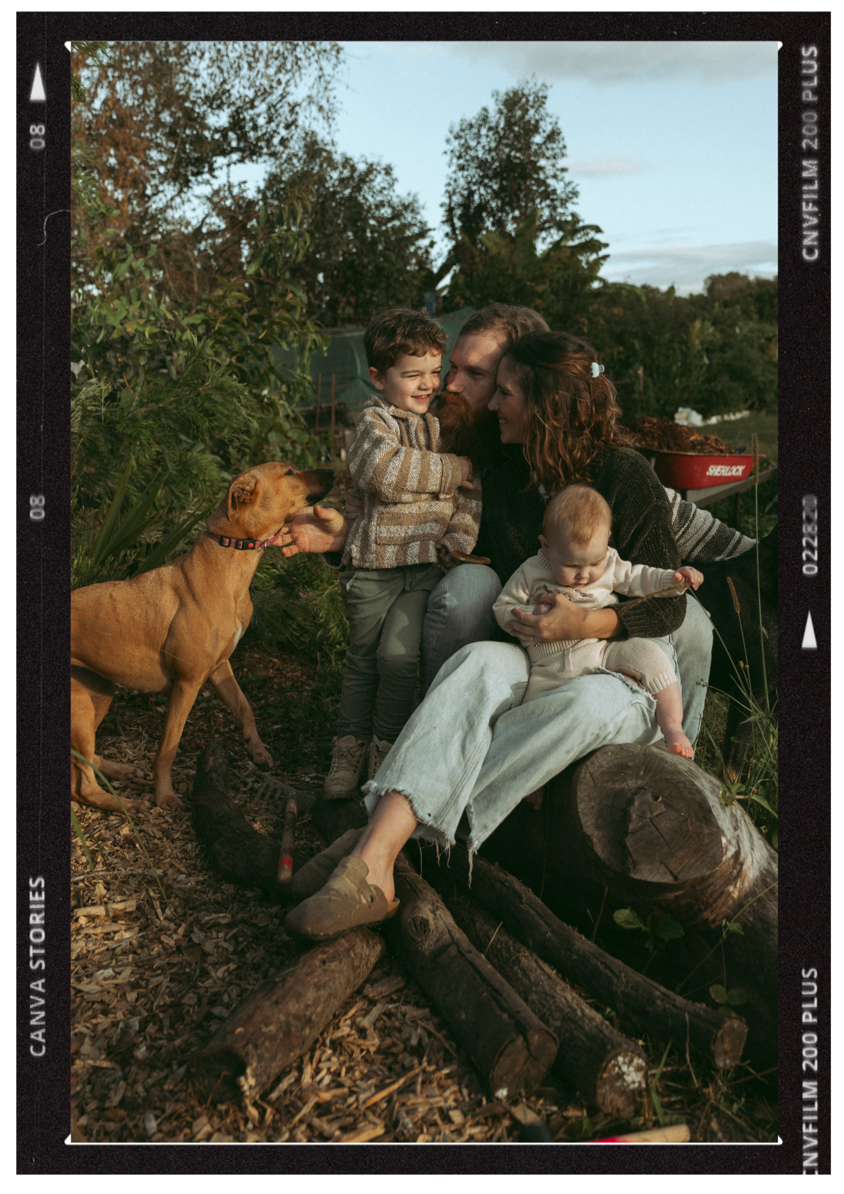 A family with a dog and a baby sitting outdoors on logs, smiling and hugging, surrounded by trees and nature.